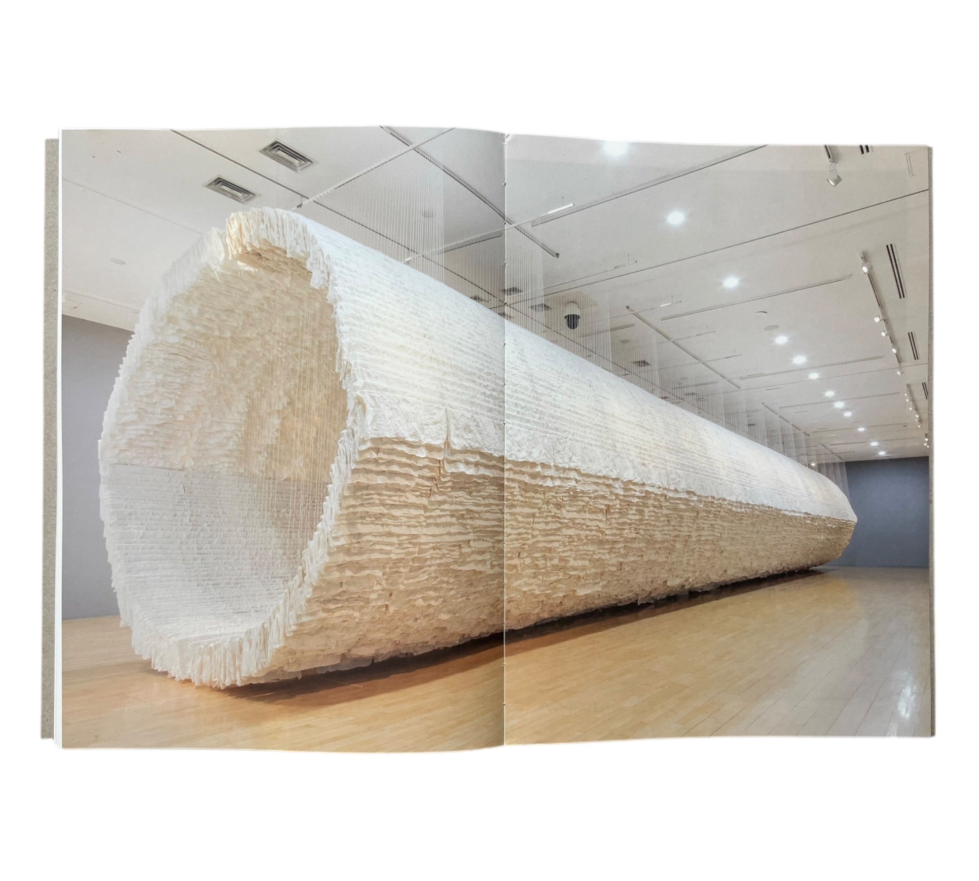 Trilogy of Contemporary Art in China (Rare edition)