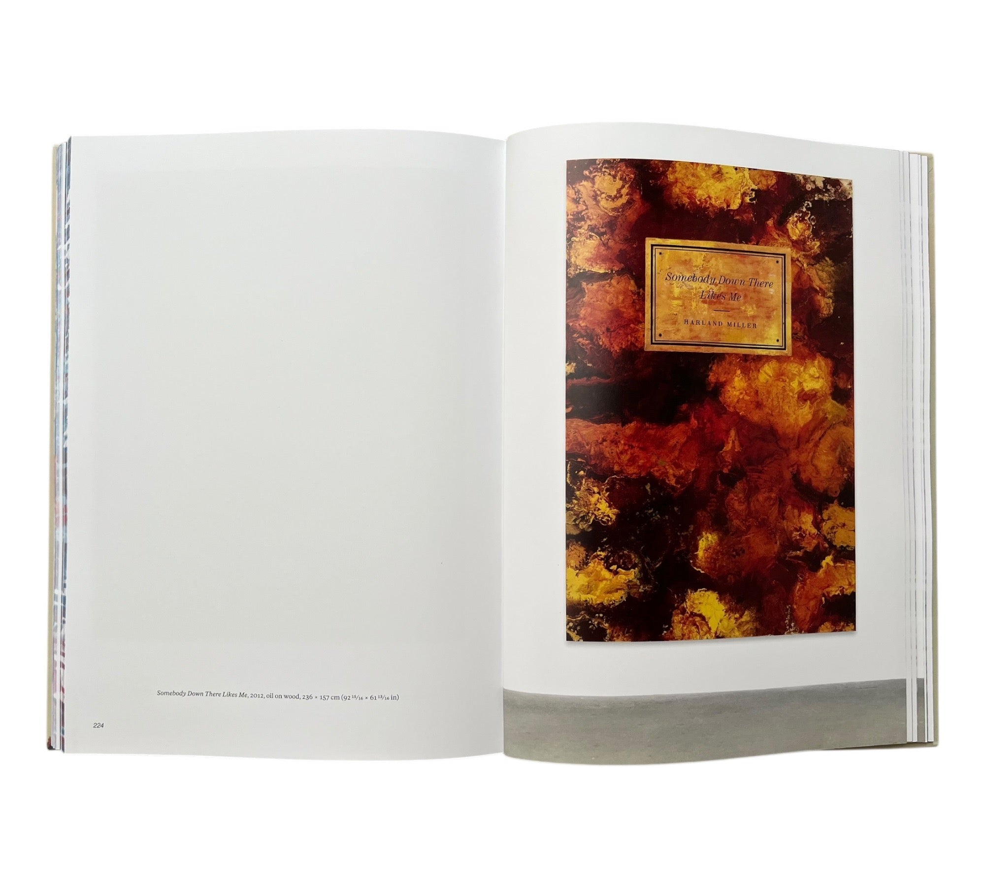 Harland Miller: In Shadows I Boogie