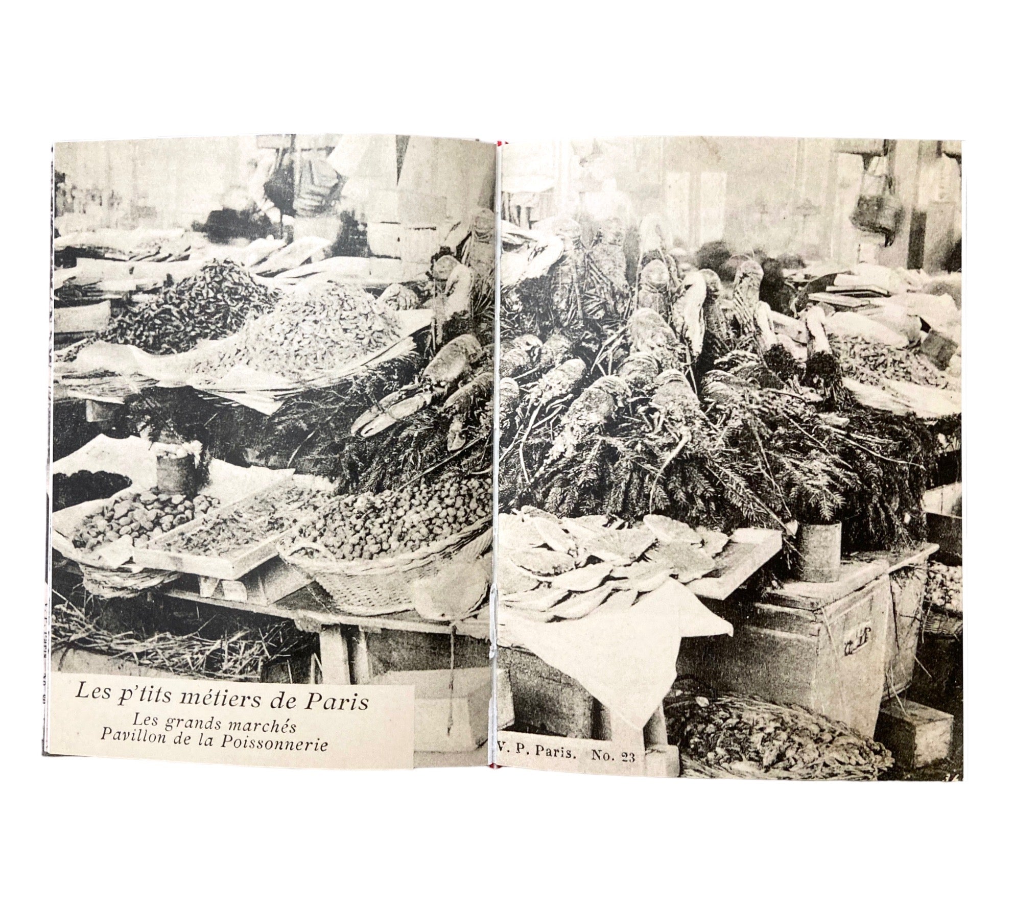 Atget: Postcards of a Lost Paris