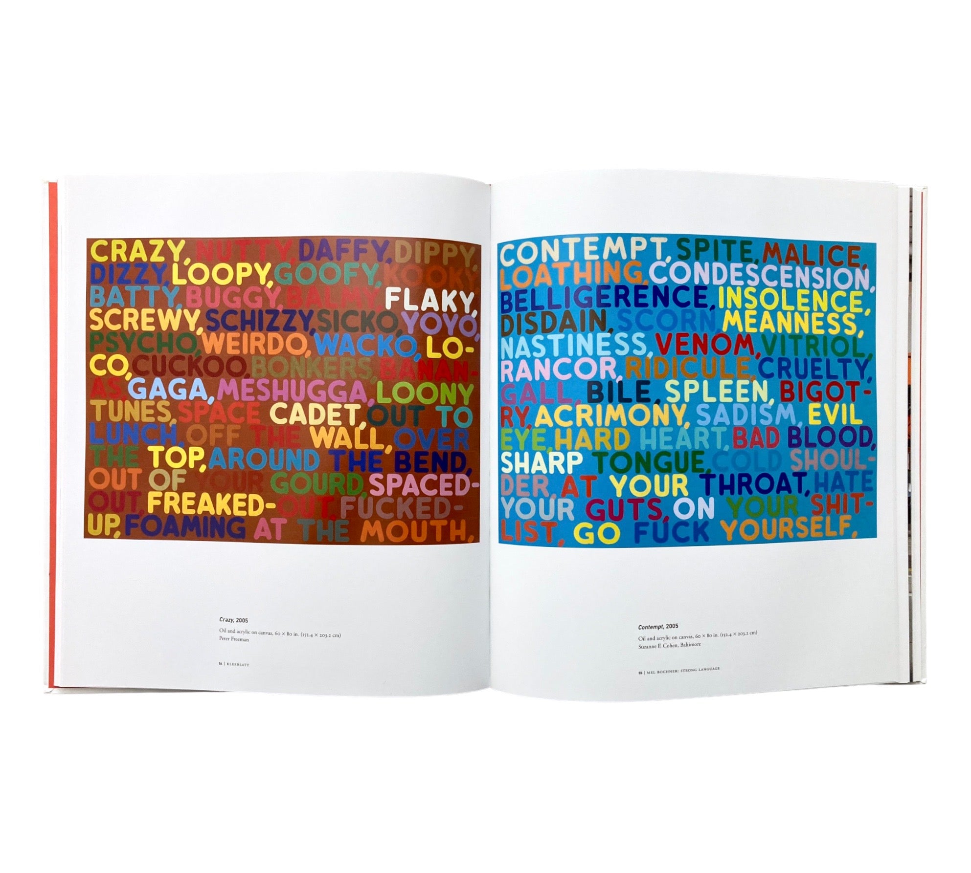 Mel Bochner: Strong Language
