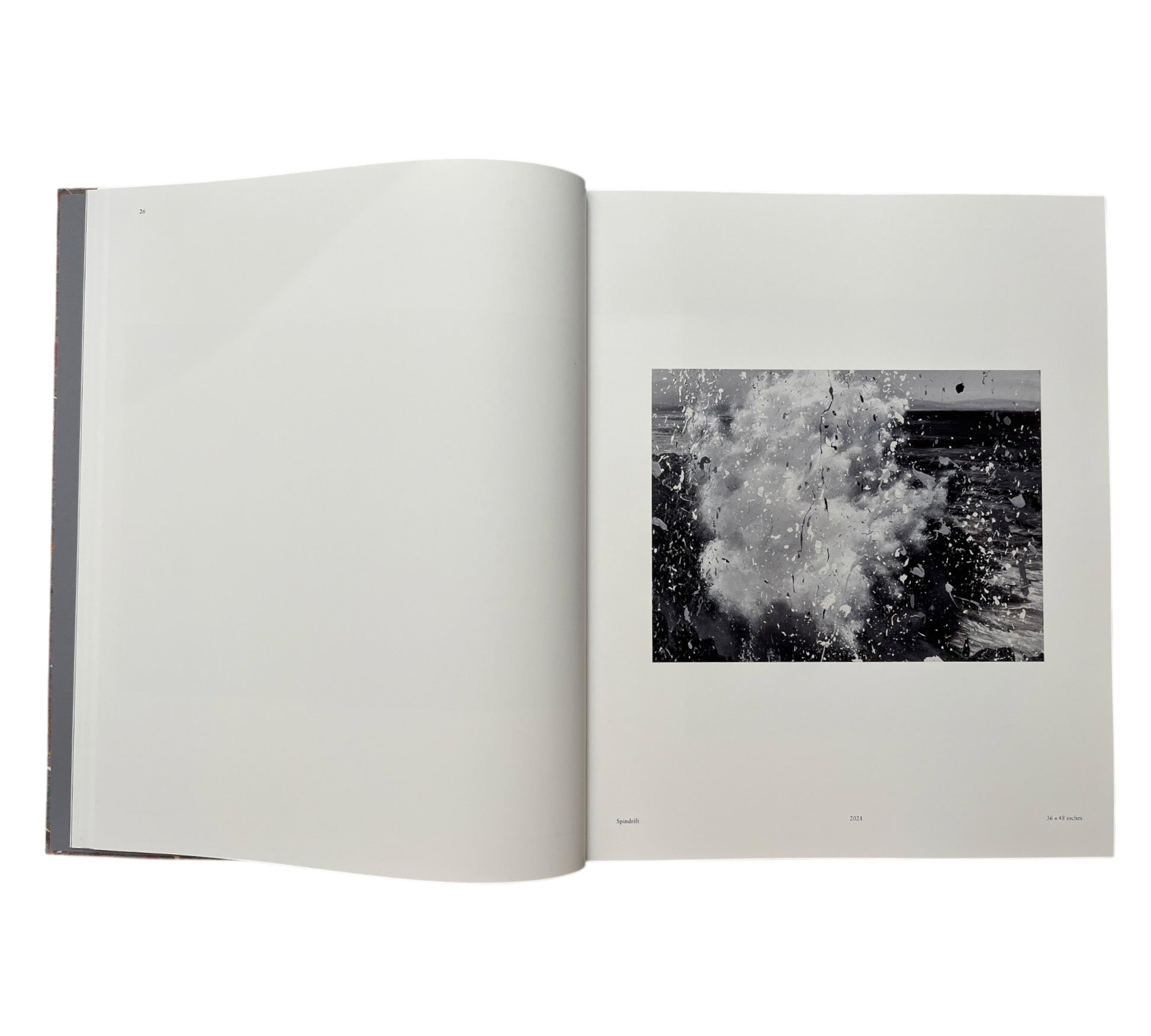 Damien Hirst: Where The Land Meets The Sea