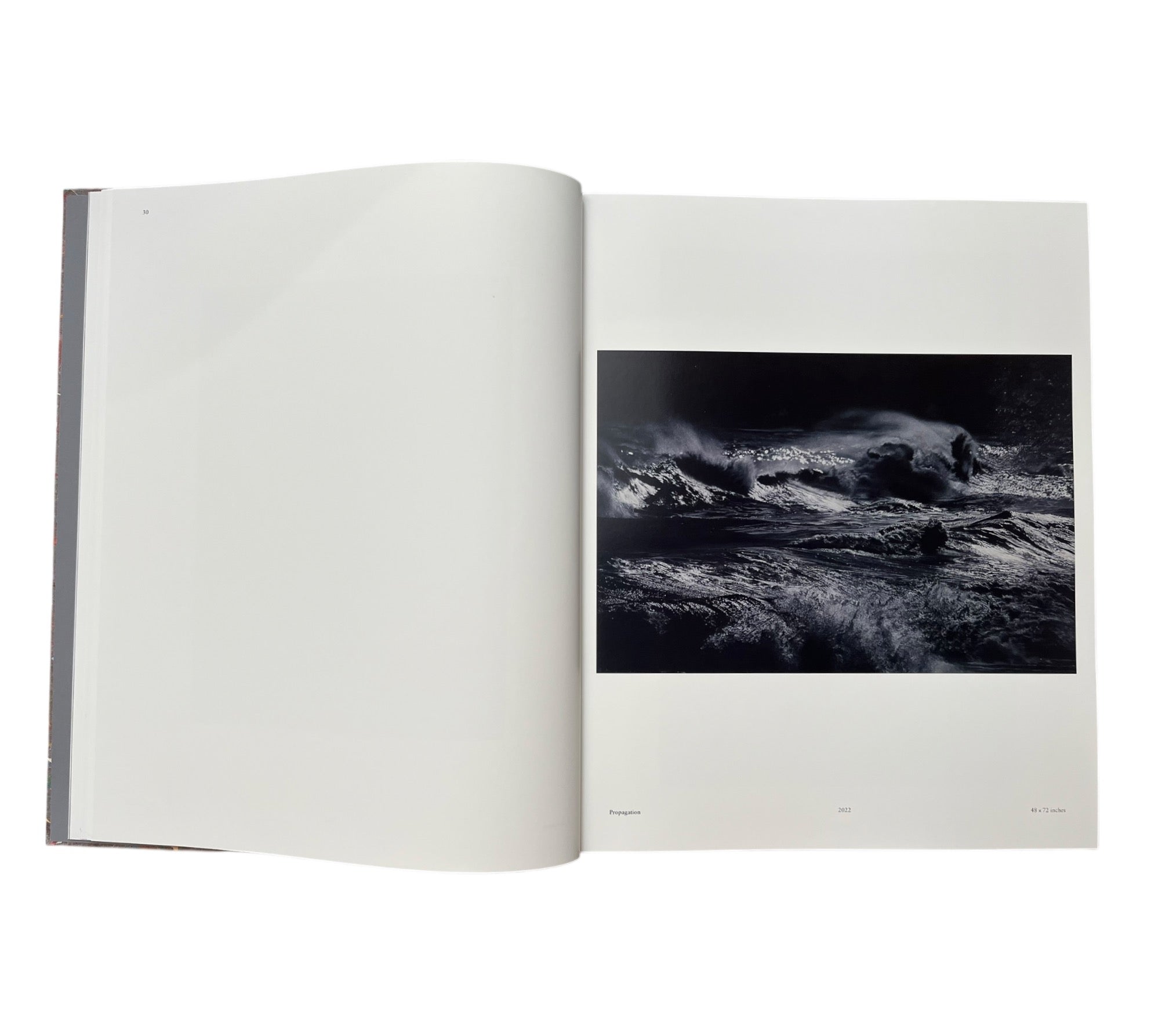 Damien Hirst: Where The Land Meets The Sea