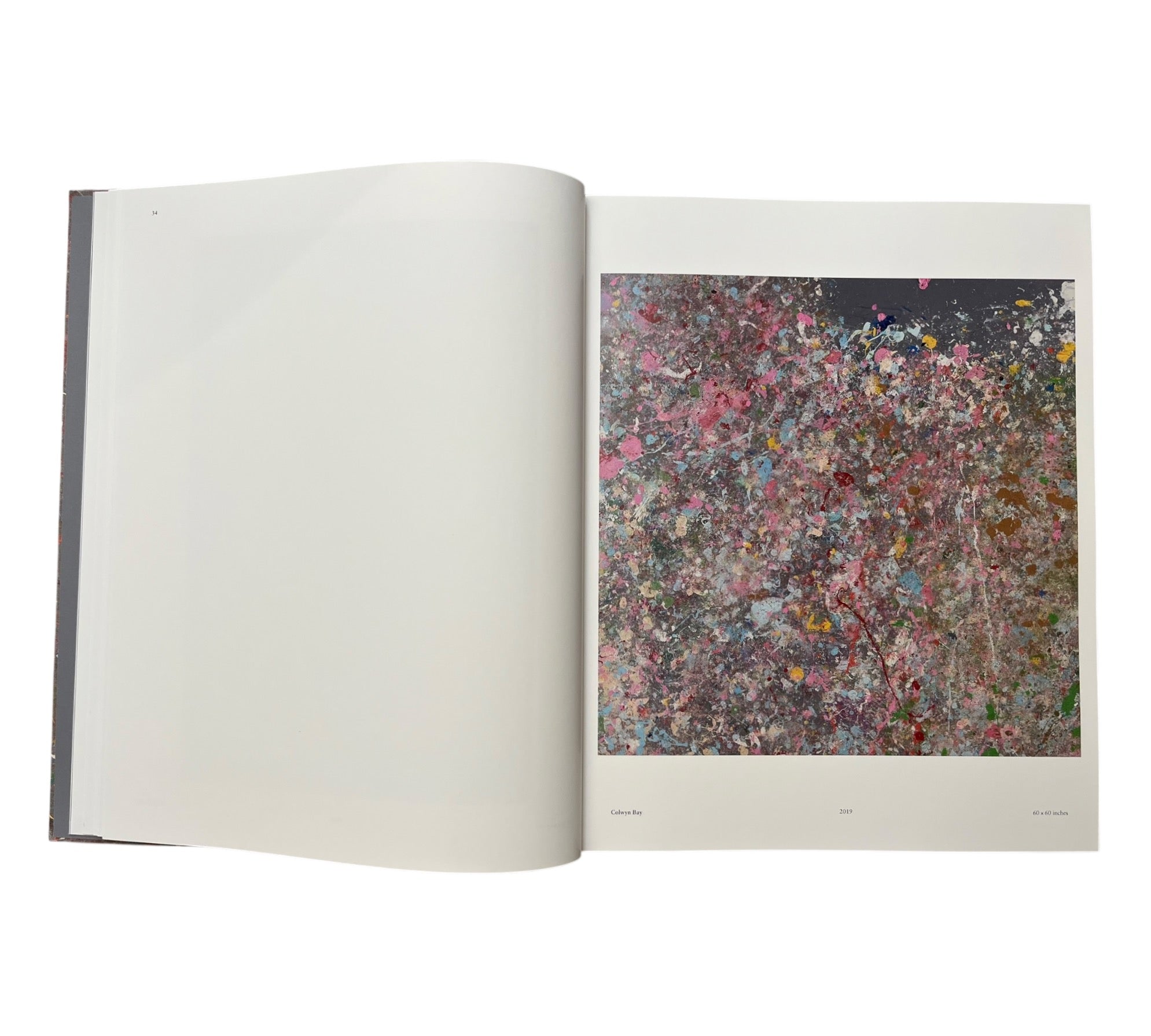 Damien Hirst: Where The Land Meets The Sea