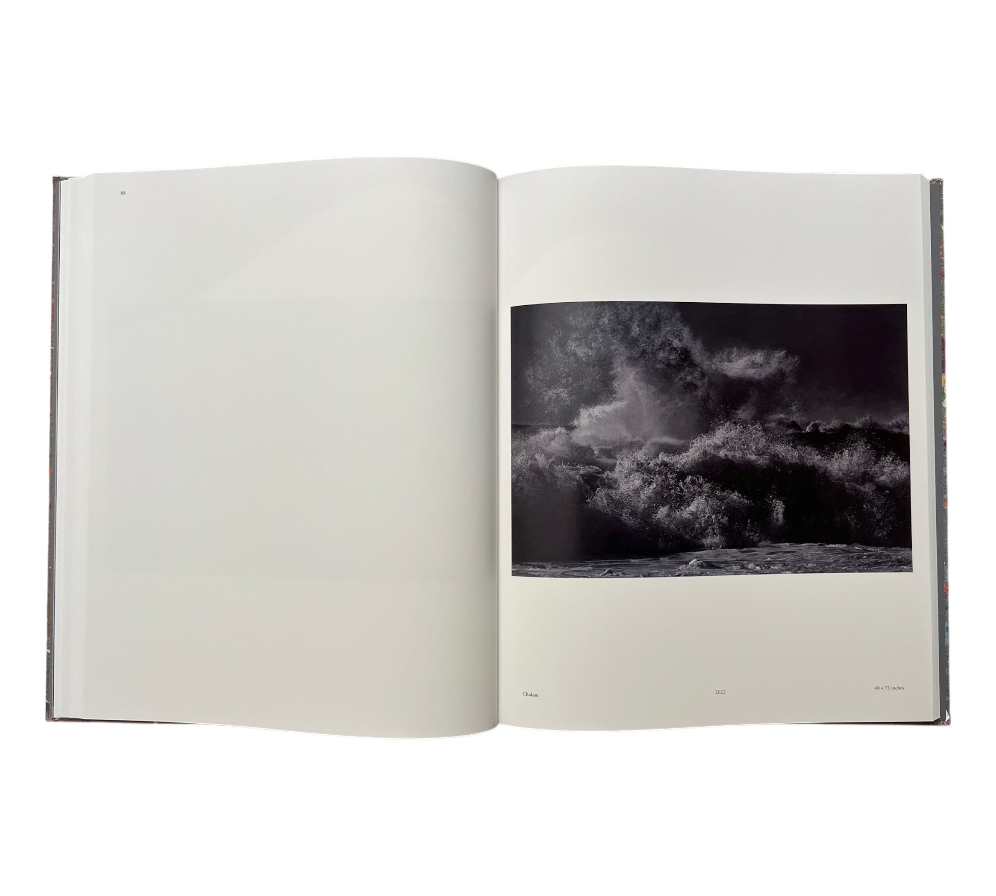 Damien Hirst: Where The Land Meets The Sea