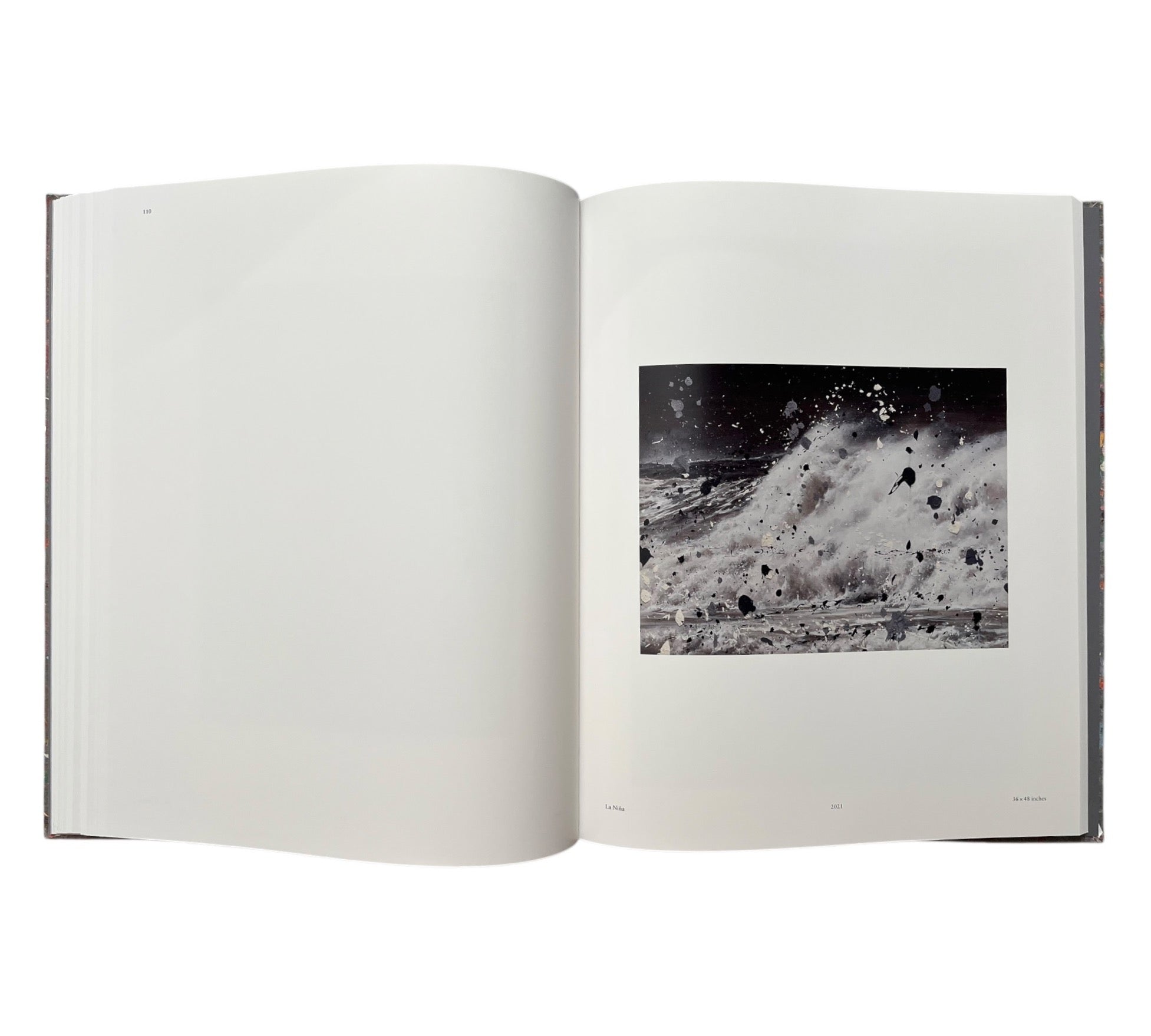 Damien Hirst: Where The Land Meets The Sea