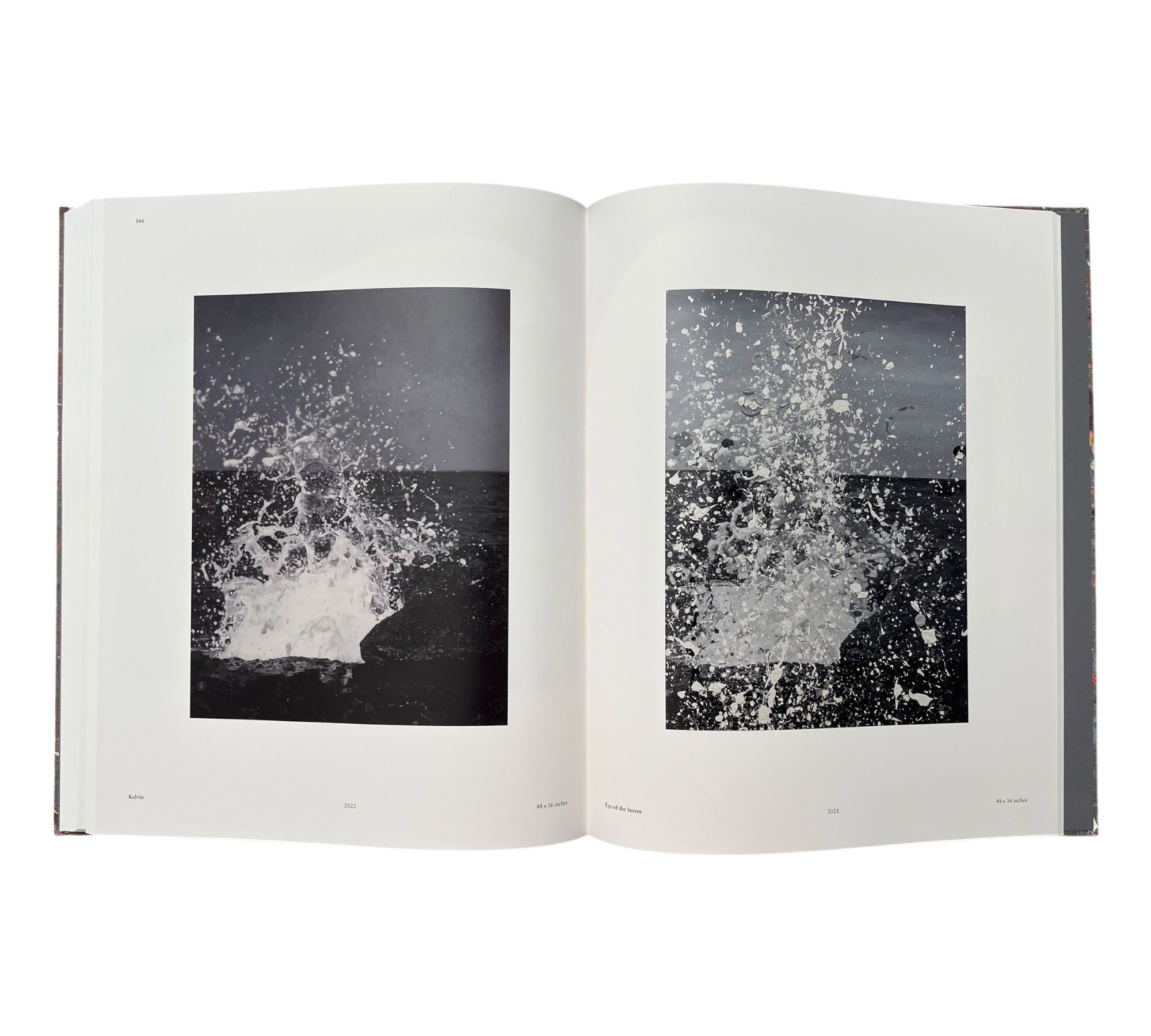 Damien Hirst: Where The Land Meets The Sea