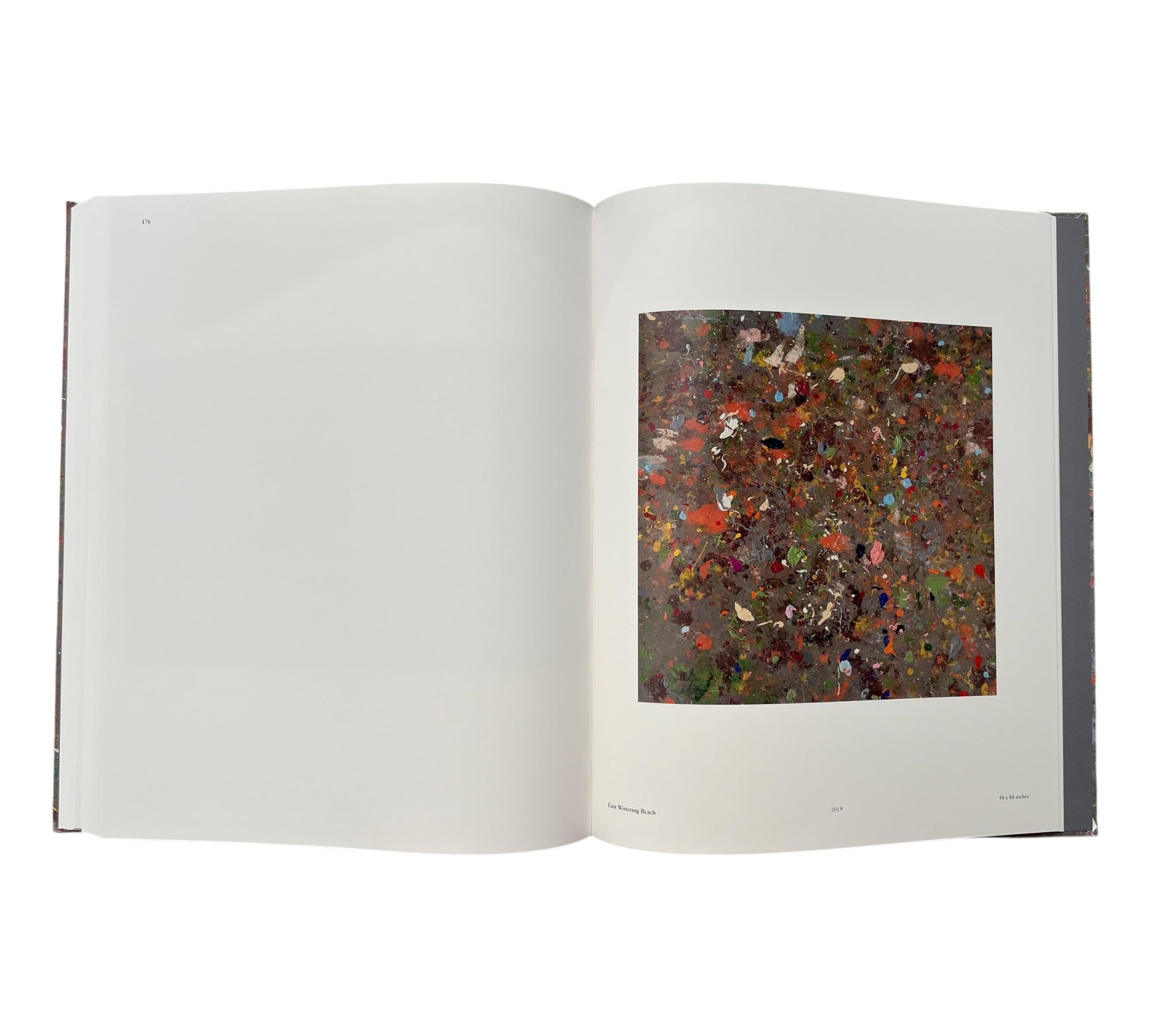 Damien Hirst: Where The Land Meets The Sea
