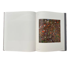Damien Hirst: Where The Land Meets The Sea
