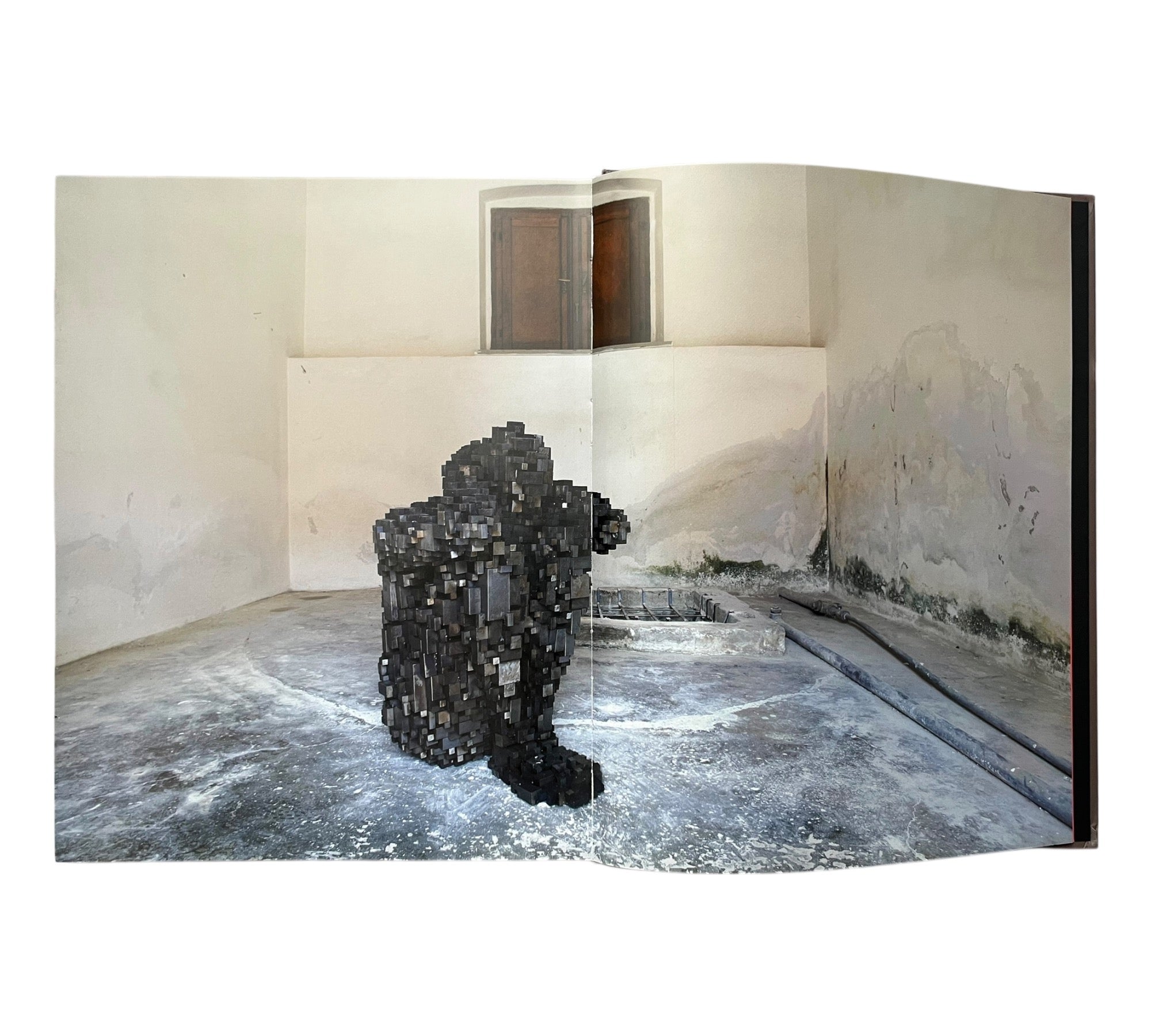 Anthony Gormley: Time Horizon (Non-mint)