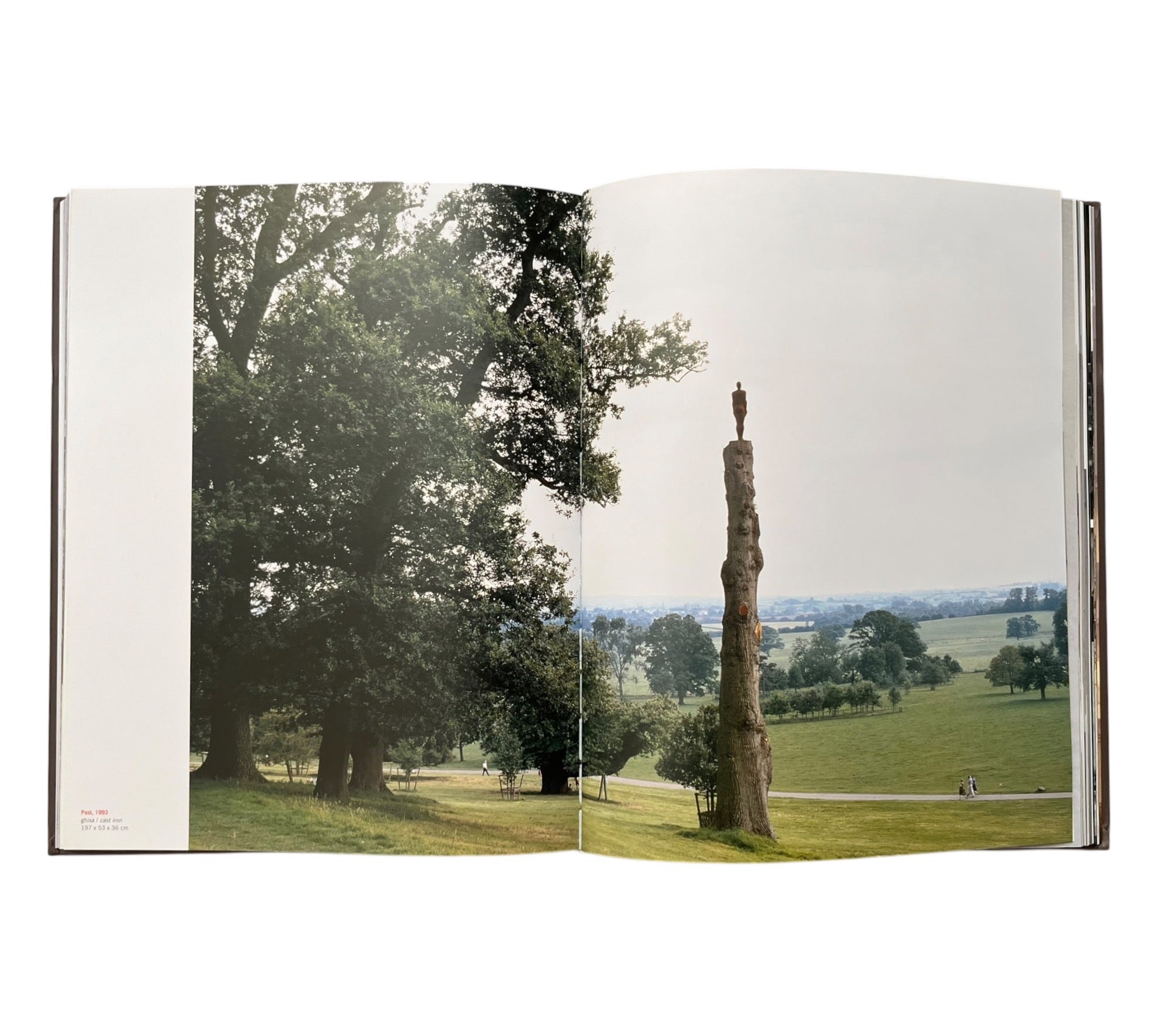 Anthony Gormley: Time Horizon (Non-mint)