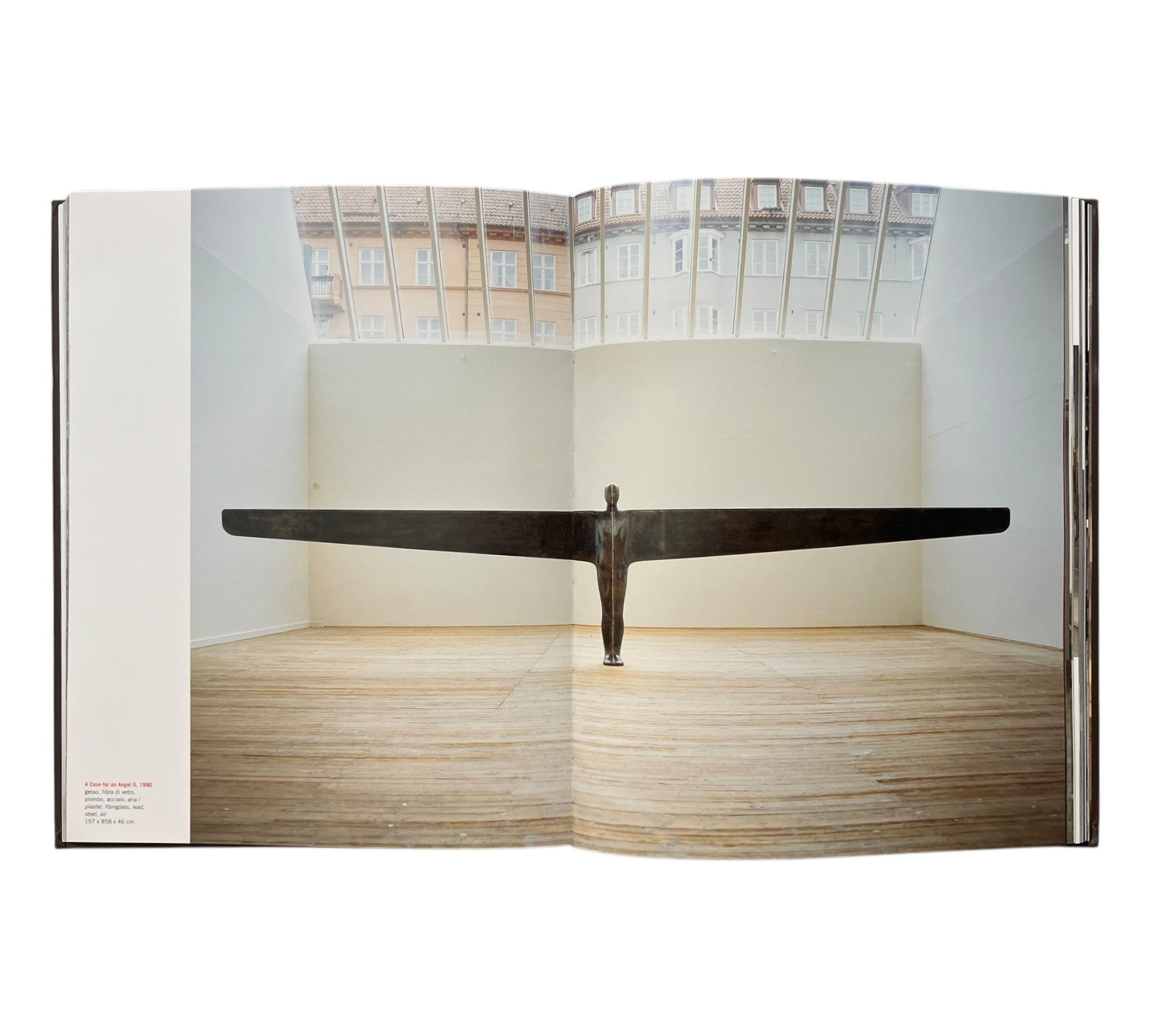 Anthony Gormley: Time Horizon (Non-mint)