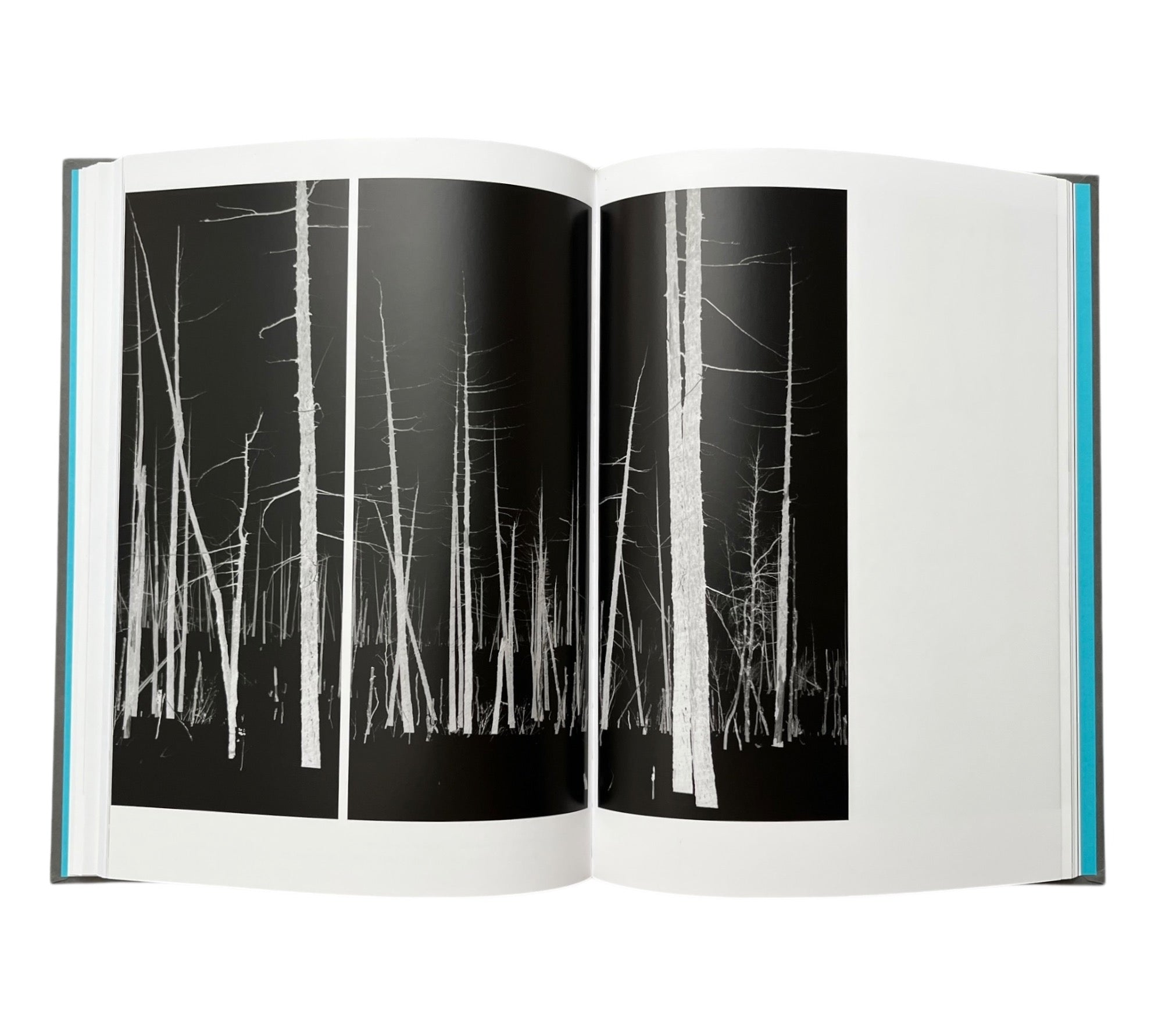 Darren Almond ...between here and the surface of the moon