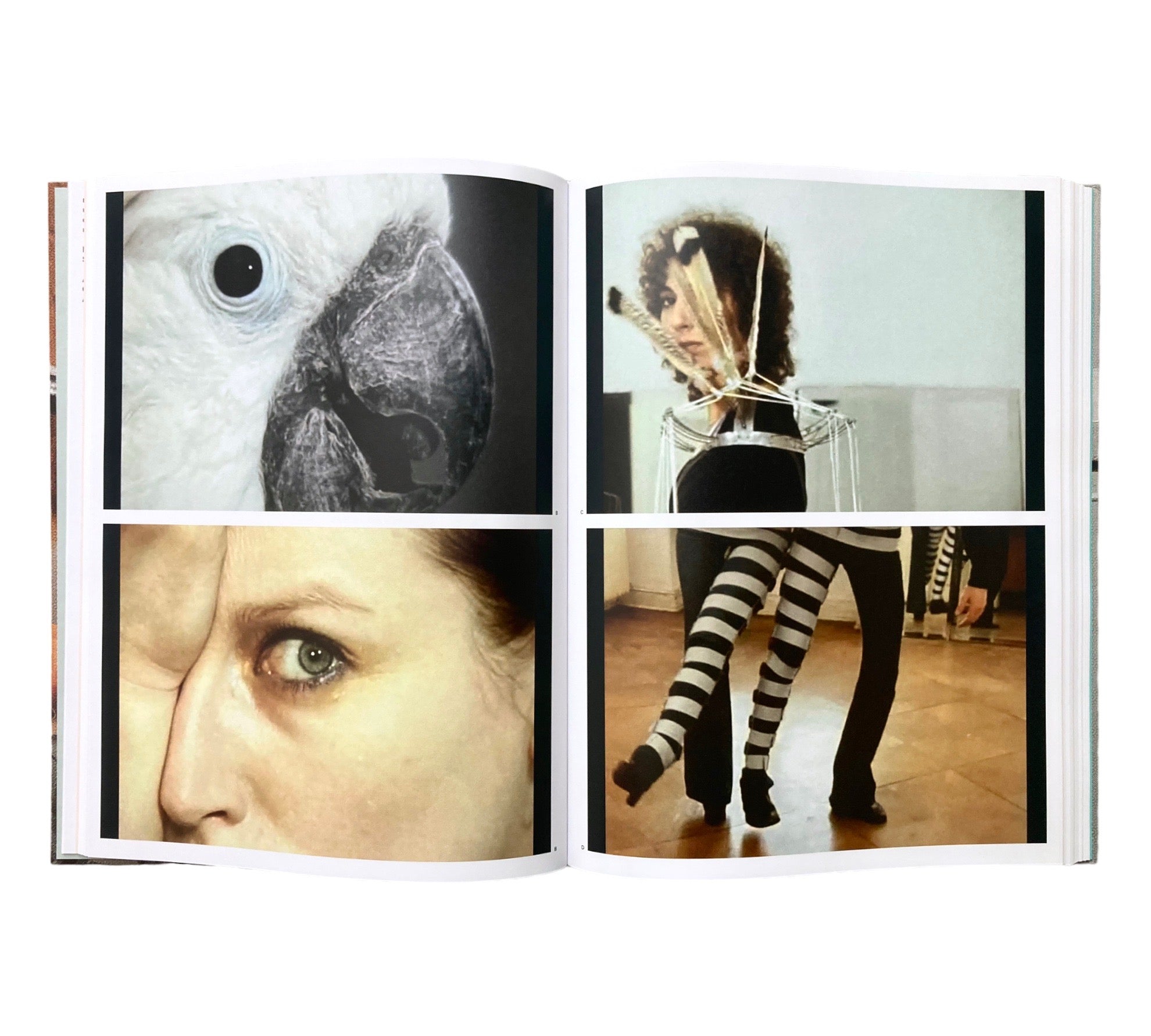 Rebecca Horn: Concert for Anarchy