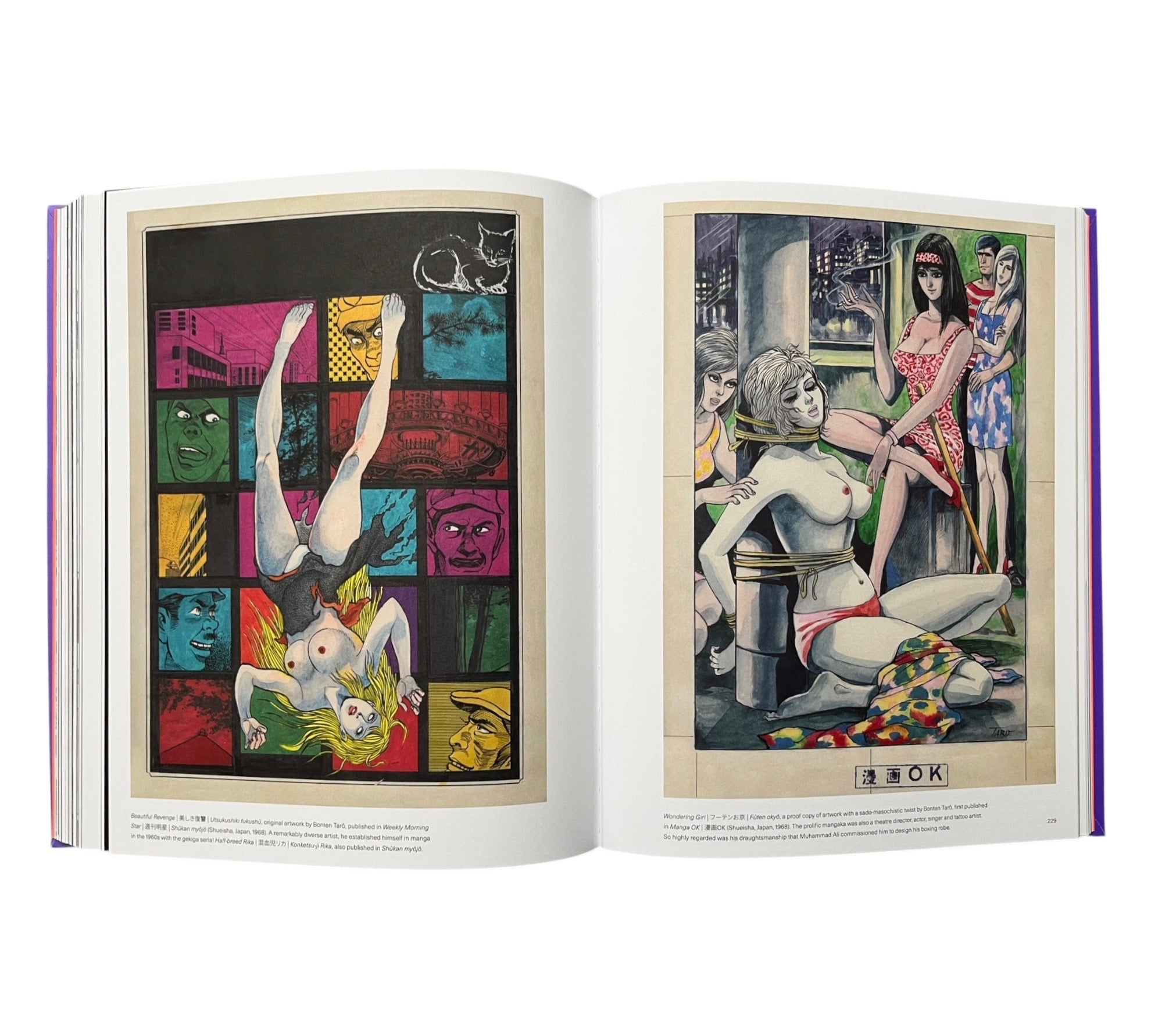 Mangasia: The Definitive Guide to Asian Comics