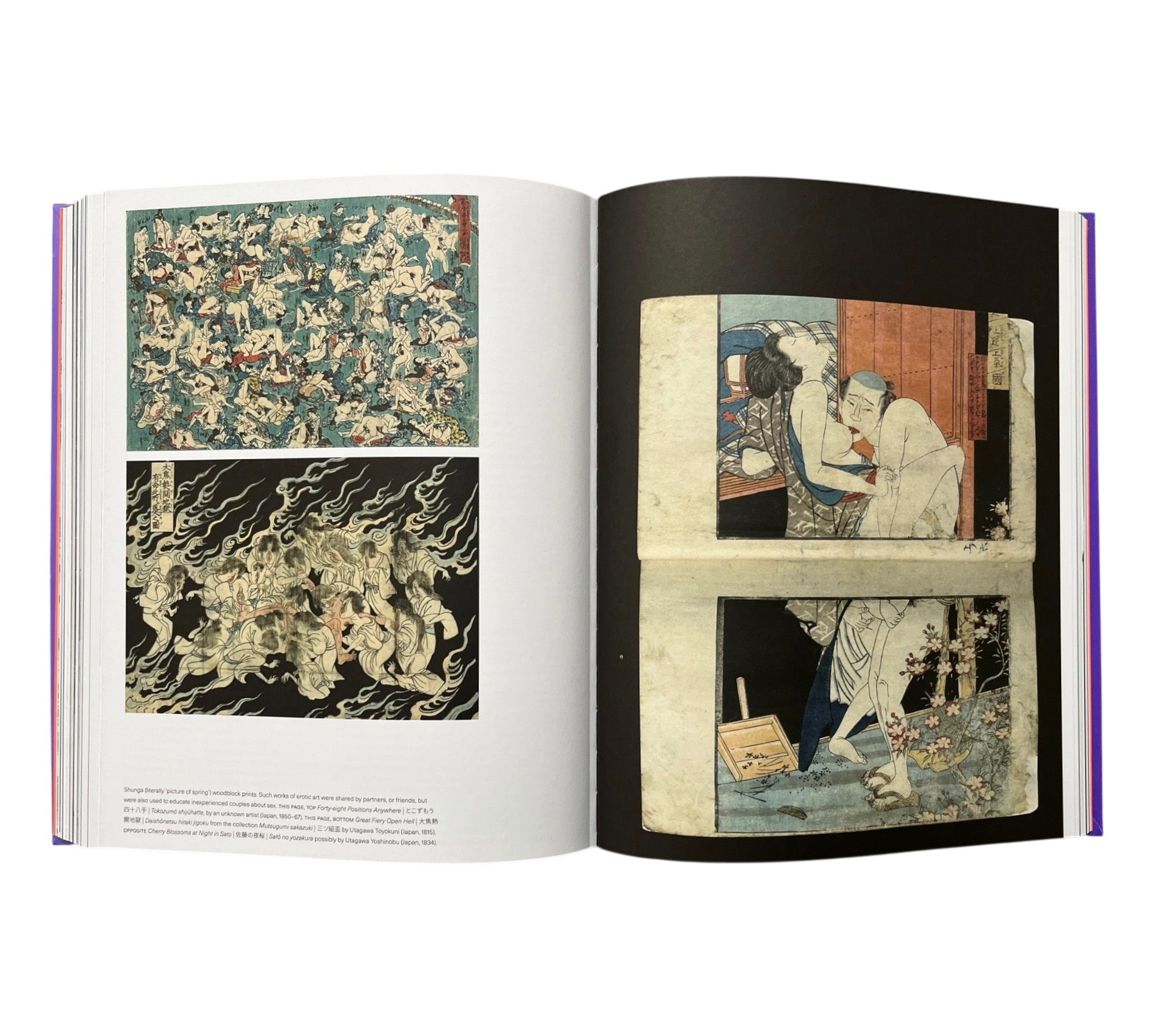 Mangasia: The Definitive Guide to Asian Comics