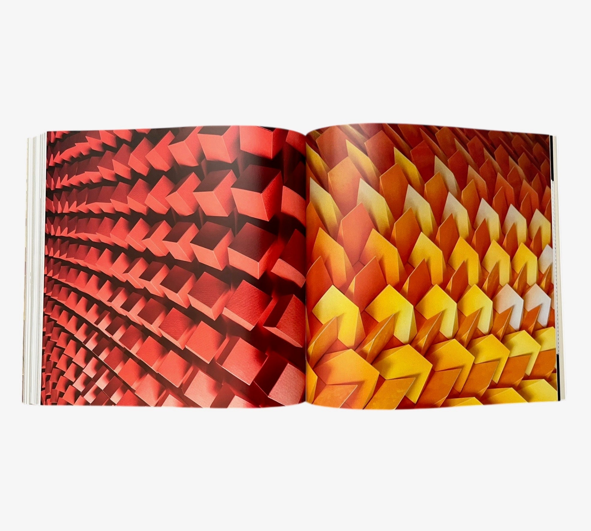 Unfolding: The Paper Art and Science of Matthew Shlian (Non-mint)