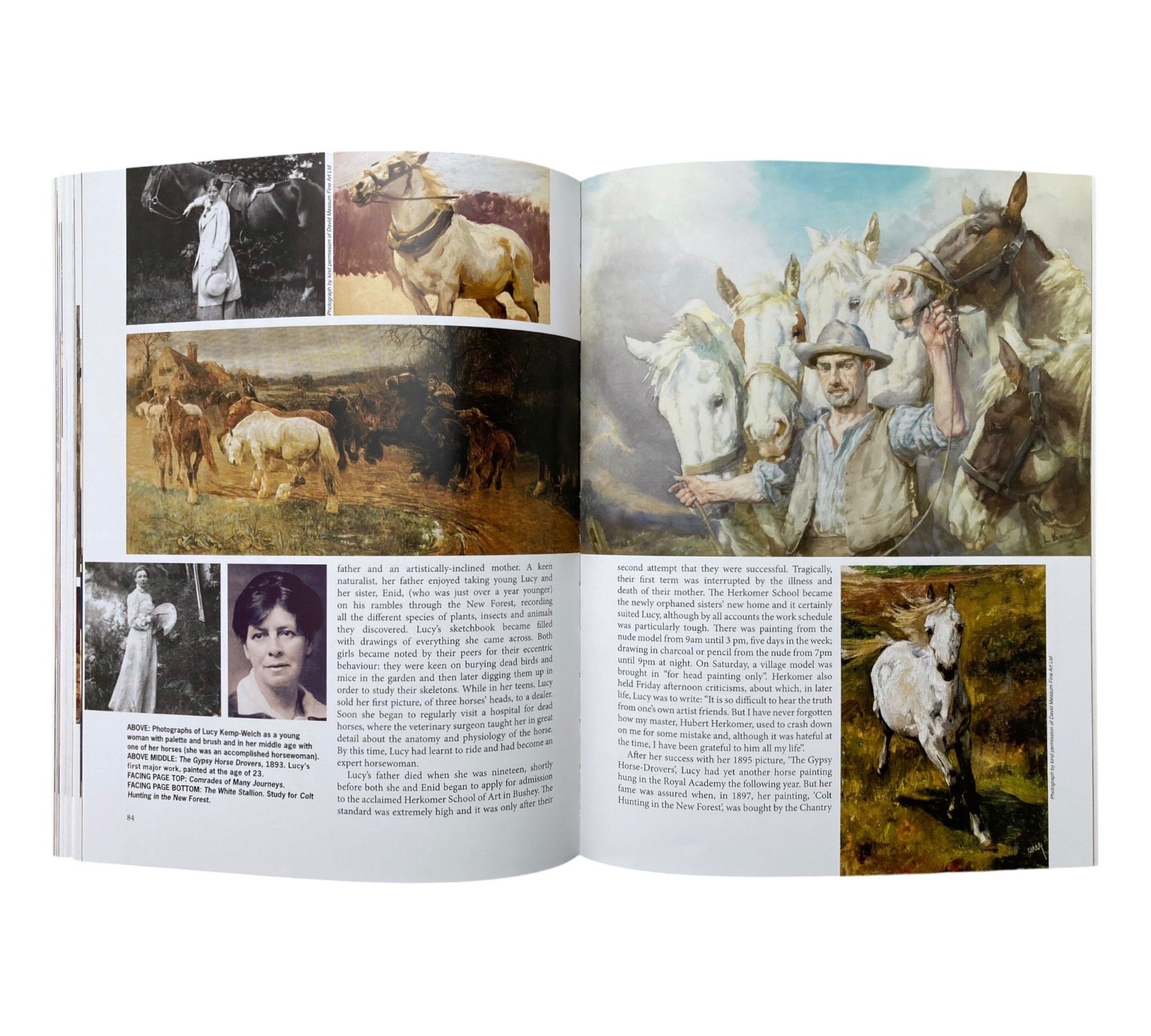 Illustrators Quarterly - Issue 21