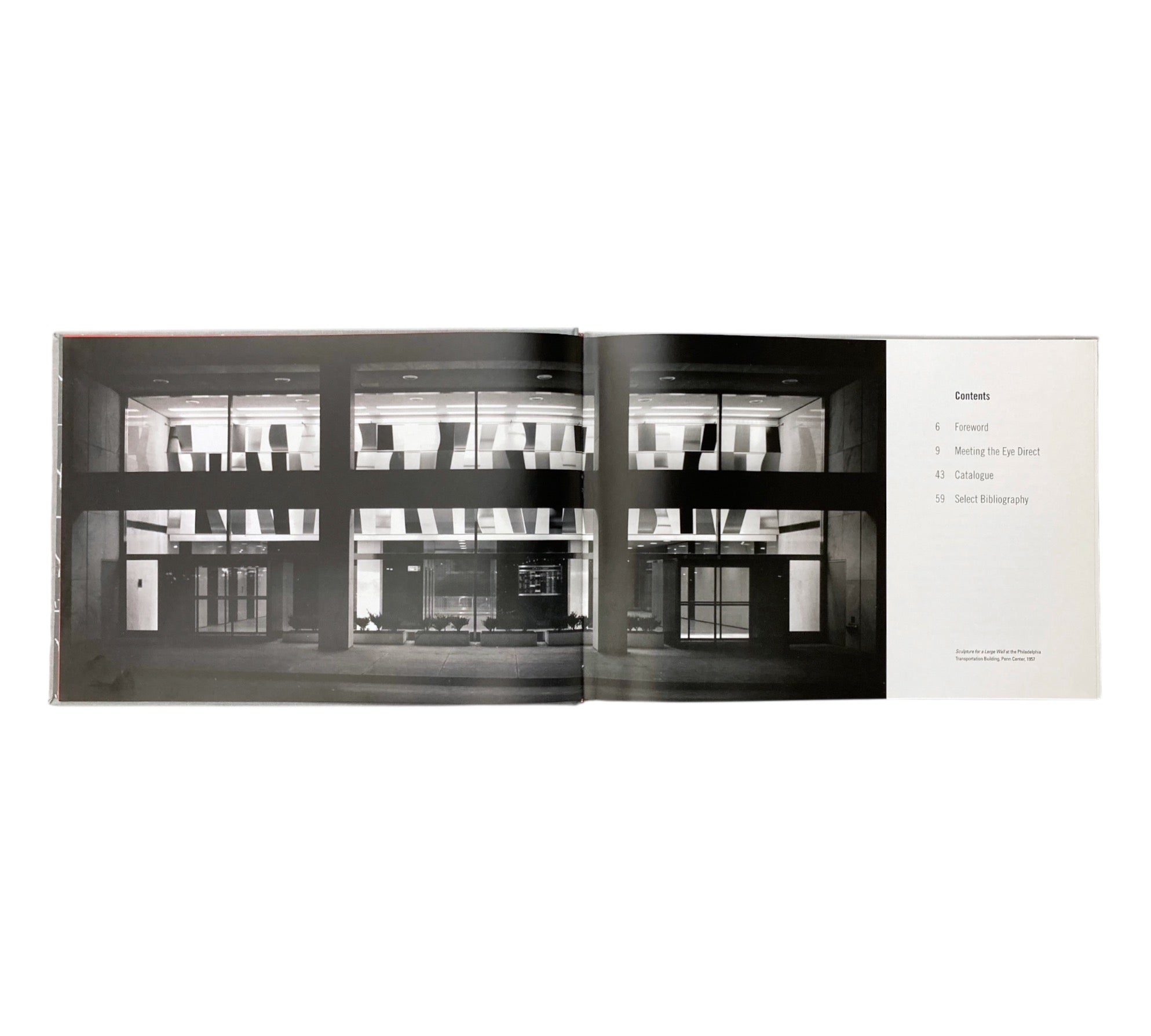 Ellsworth Kelly: Sculpture on the Wall