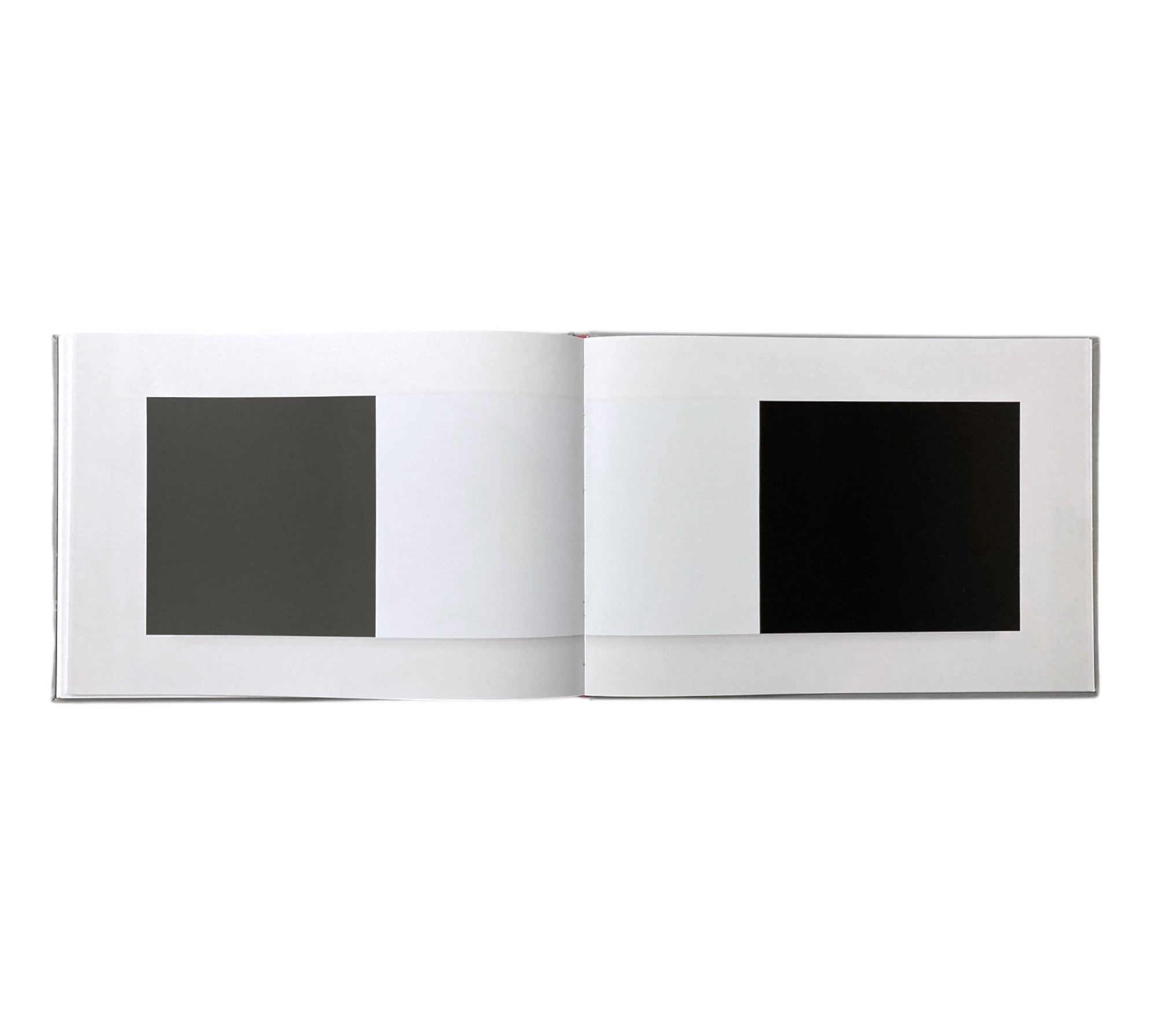 Ellsworth Kelly: Sculpture on the Wall