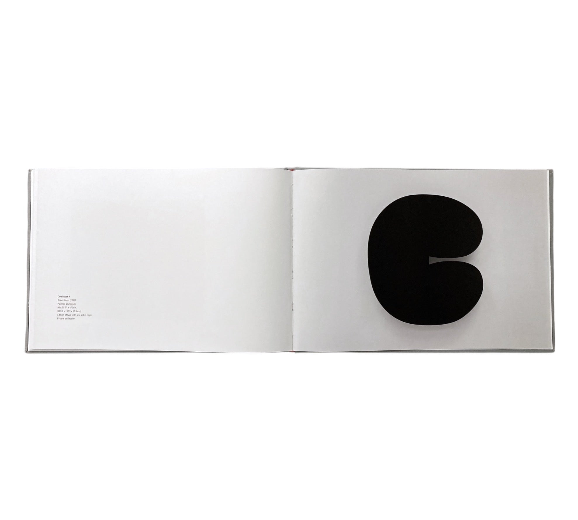 Ellsworth Kelly: Sculpture on the Wall