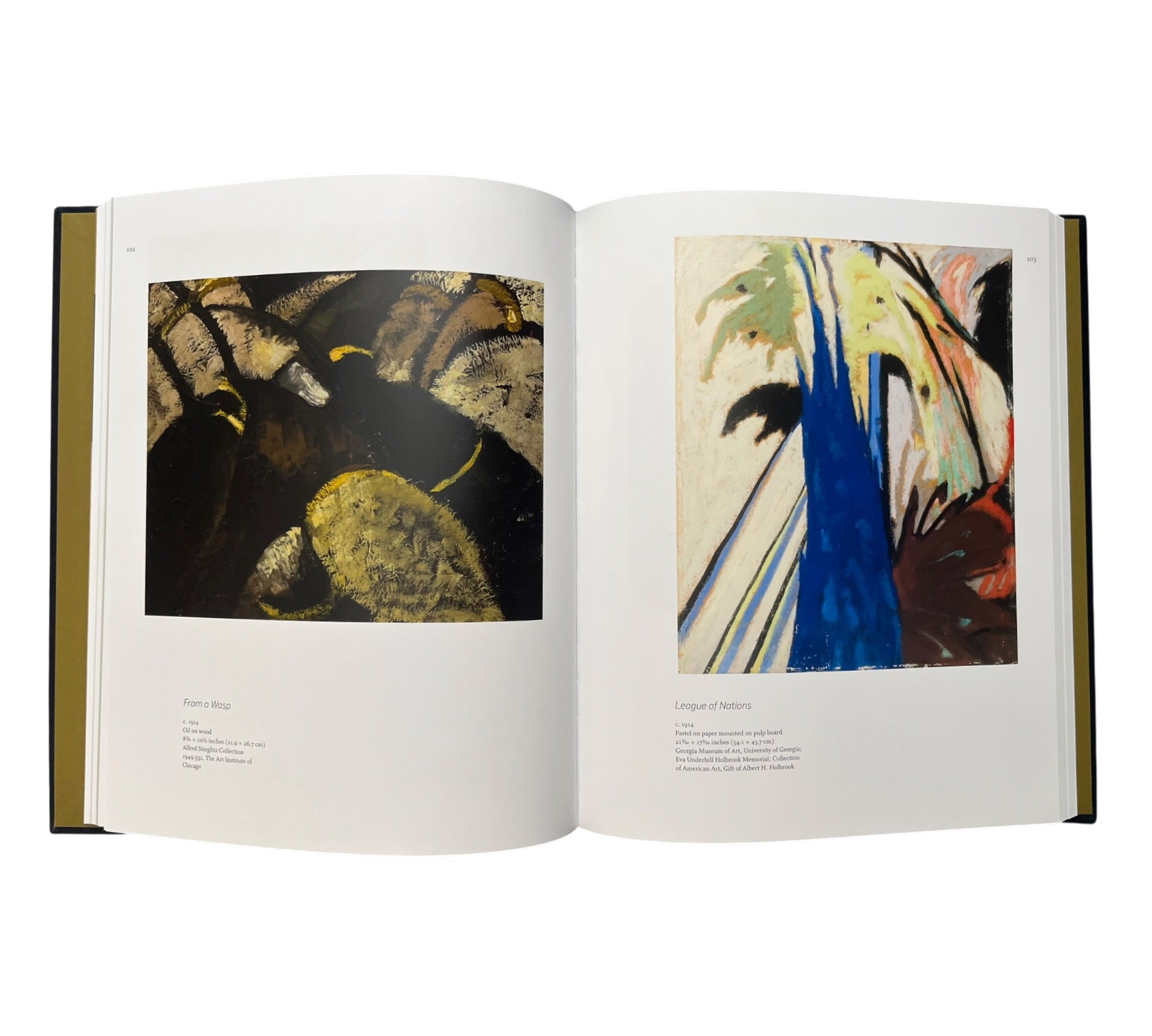 Arthur Dove: A Reassessment (Rare edition)