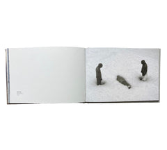 Cement Eclipses: Small Interventions in the Big City