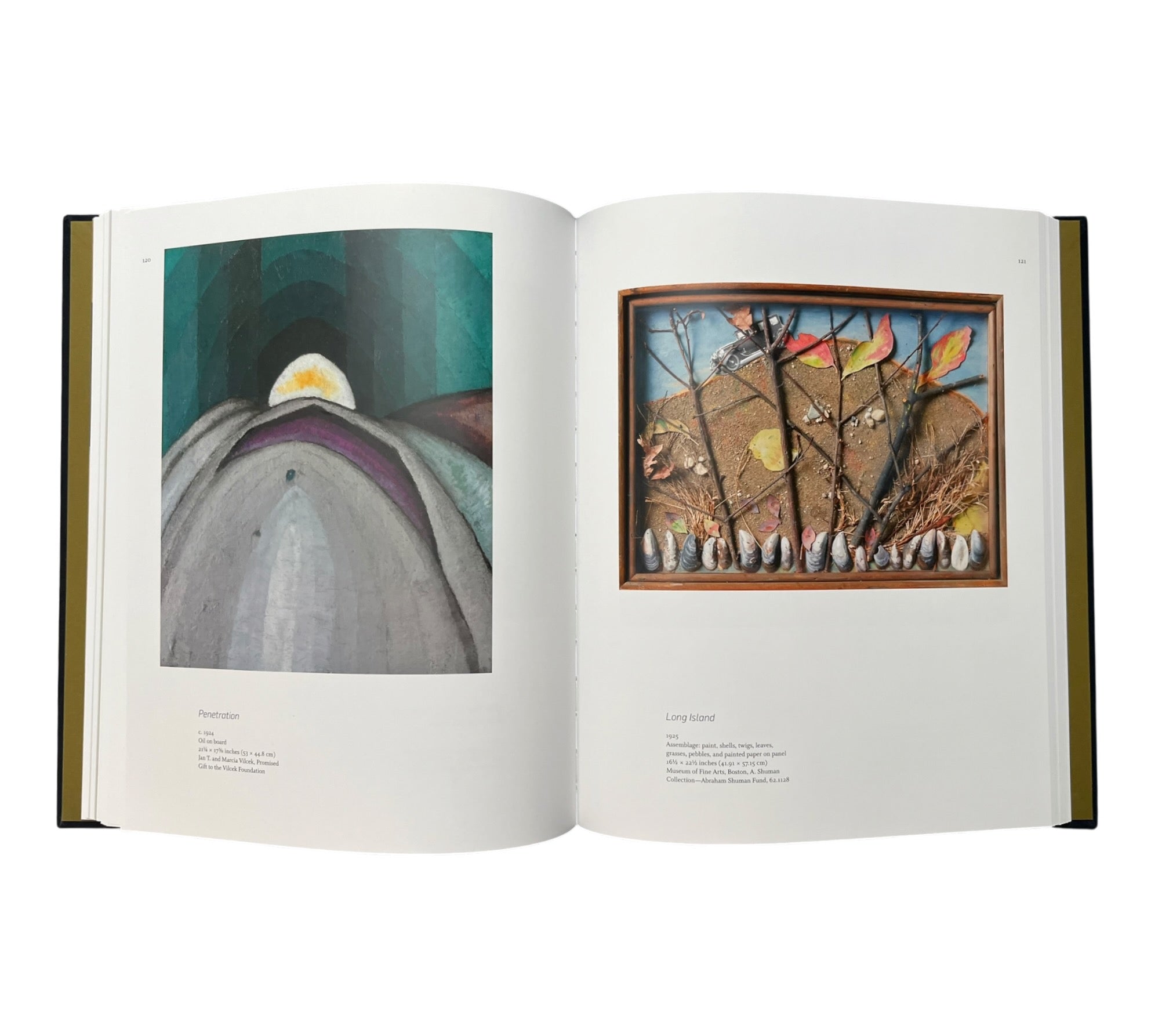 Arthur Dove: A Reassessment (Rare edition)
