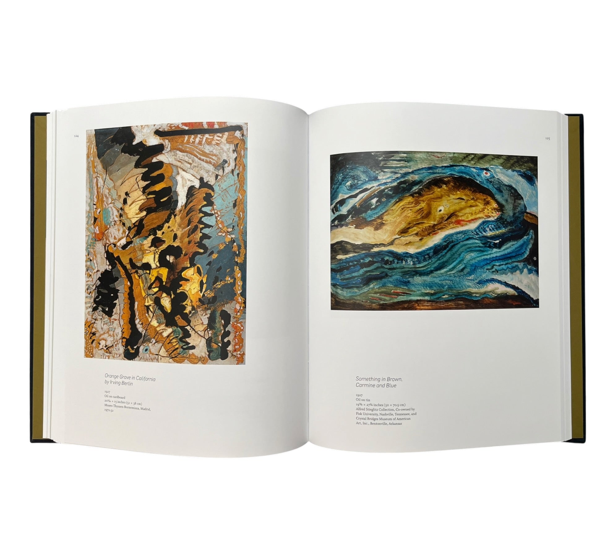 Arthur Dove: A Reassessment (Rare edition)