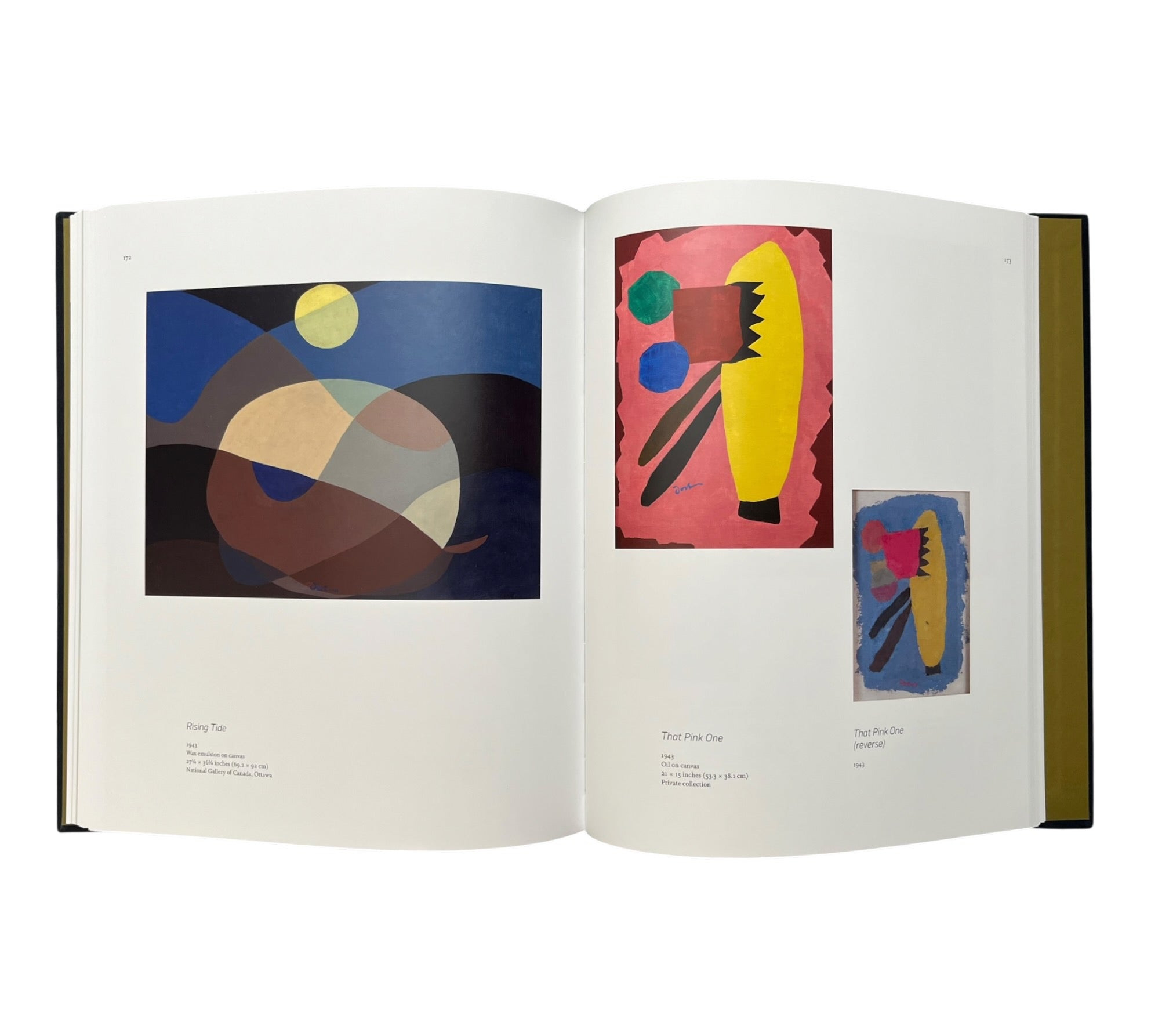 Arthur Dove: A Reassessment (Rare edition)