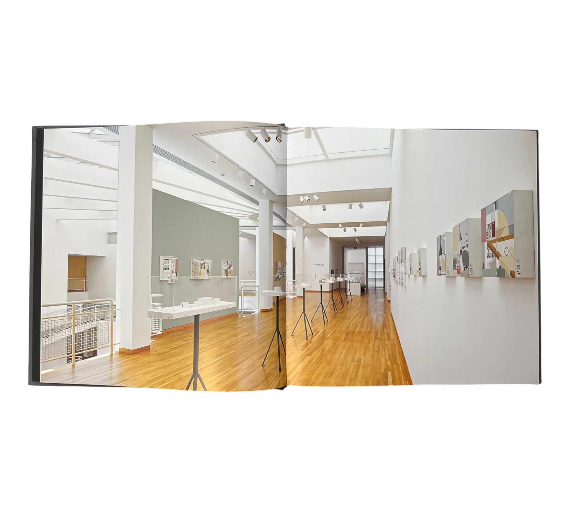 Fifty Paintings: Anthony Ames - Architect (Rare edition)