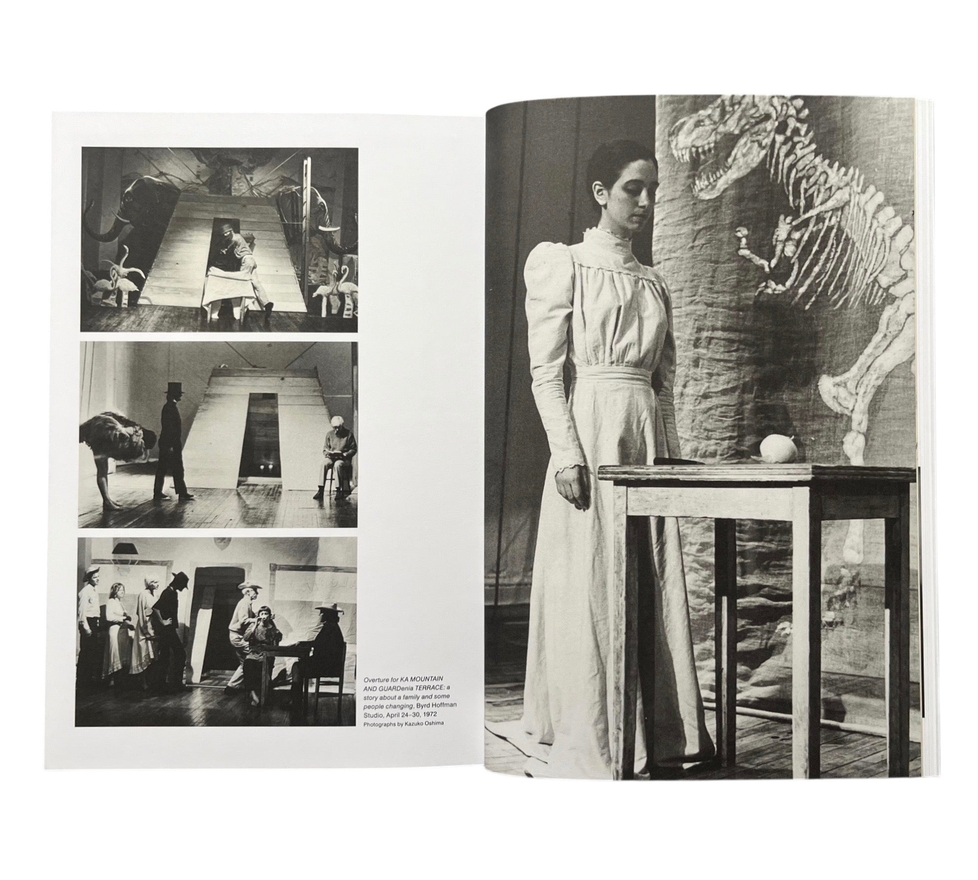 Rituals of Rented Island: Object Theater, Loft Performance, and the New Psychodrama - Manhattan, 1970-1980