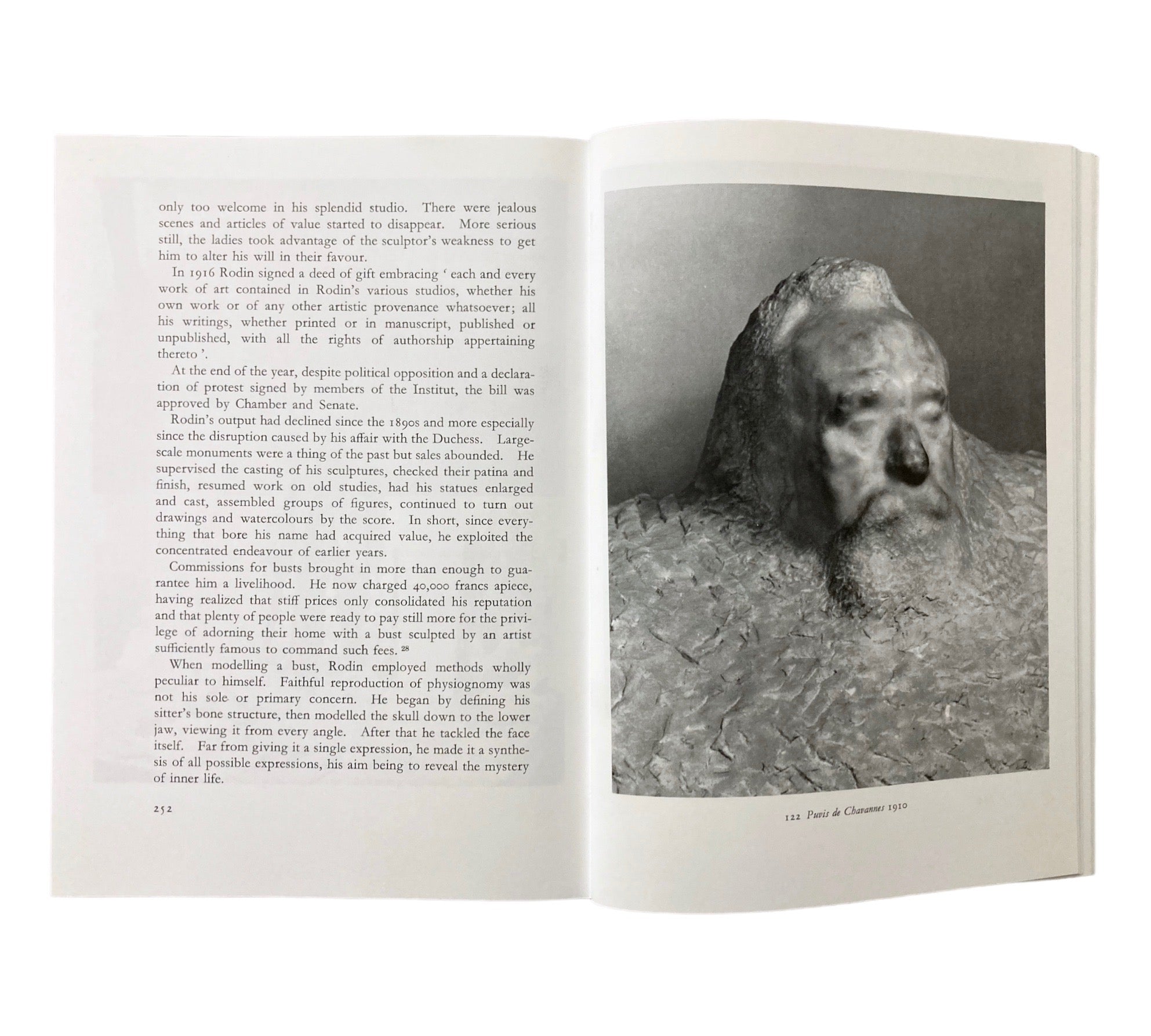 Rodin (World of Art)