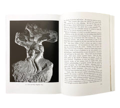 Rodin (World of Art)