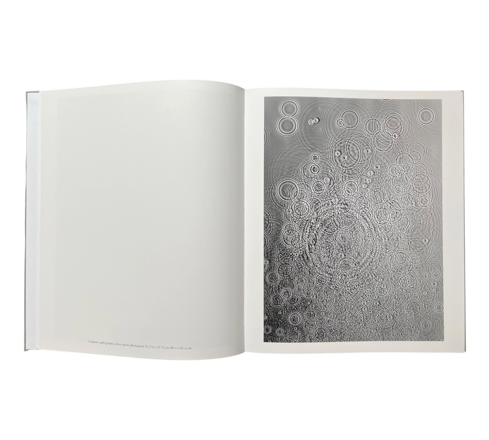 Adam Fuss: Water