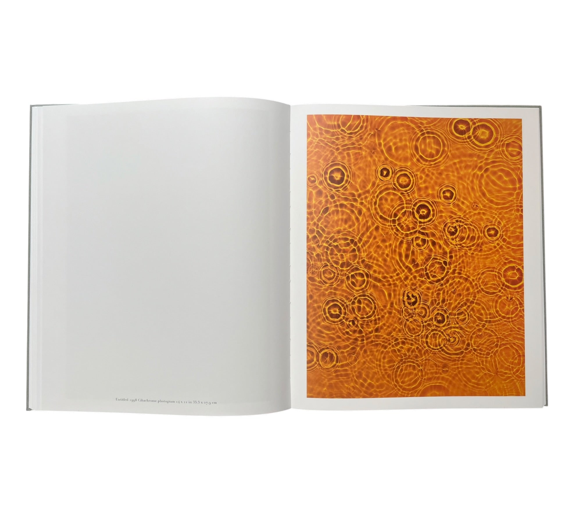 Adam Fuss: Water