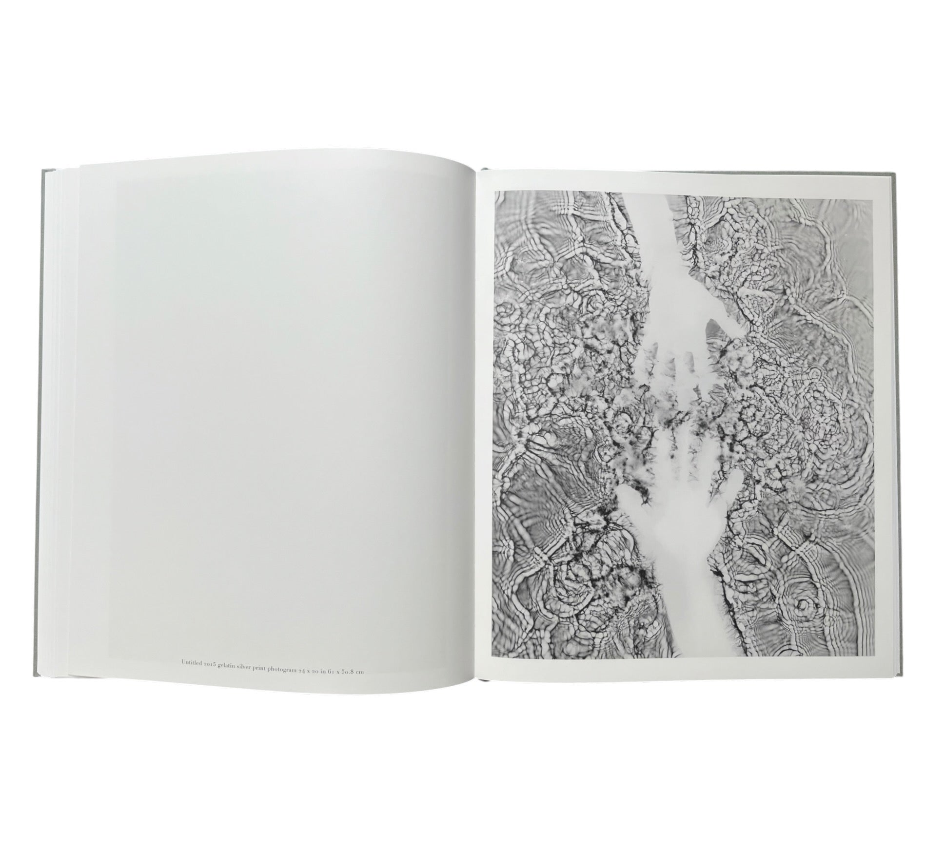 Adam Fuss: Water