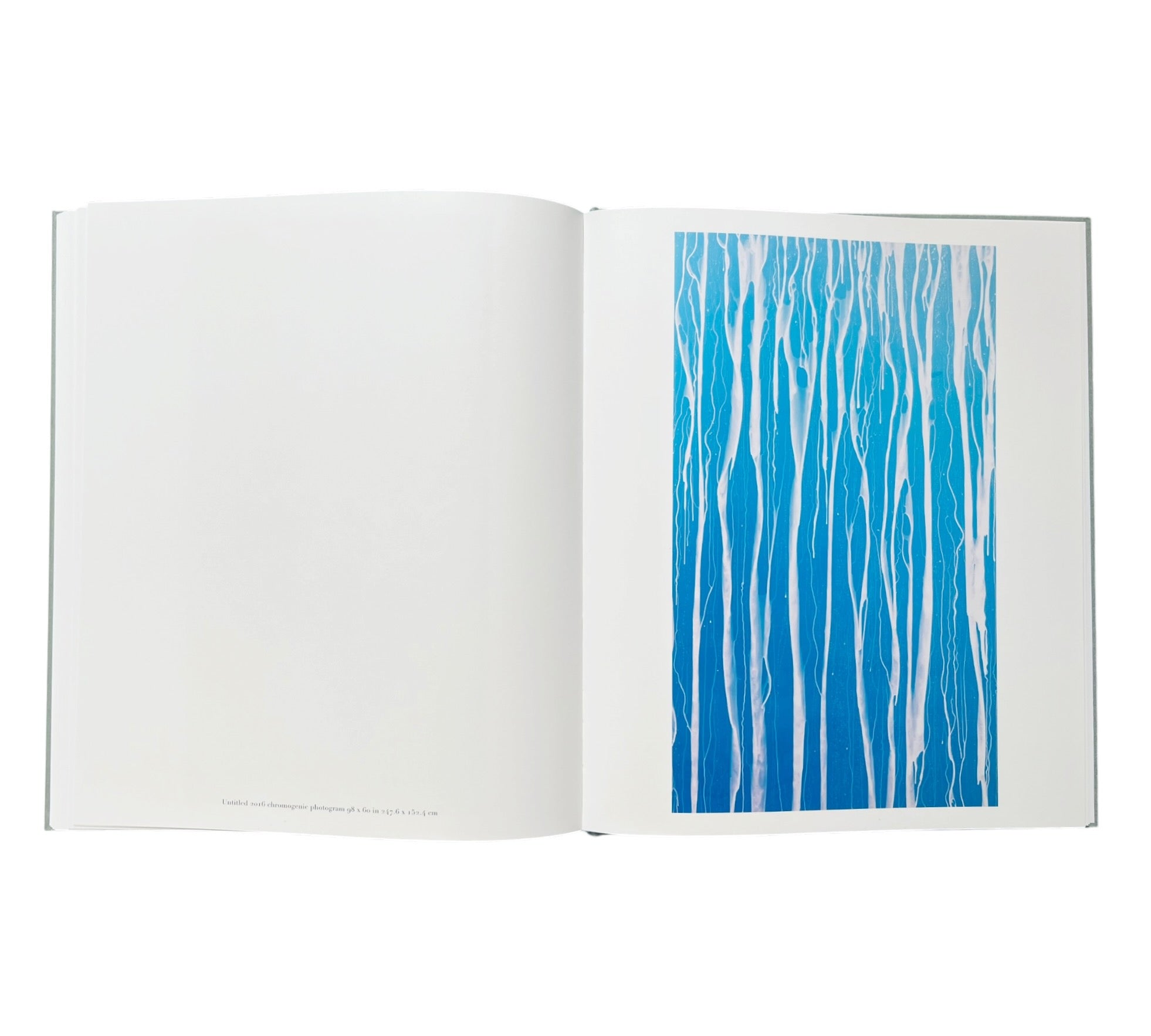 Adam Fuss: Water