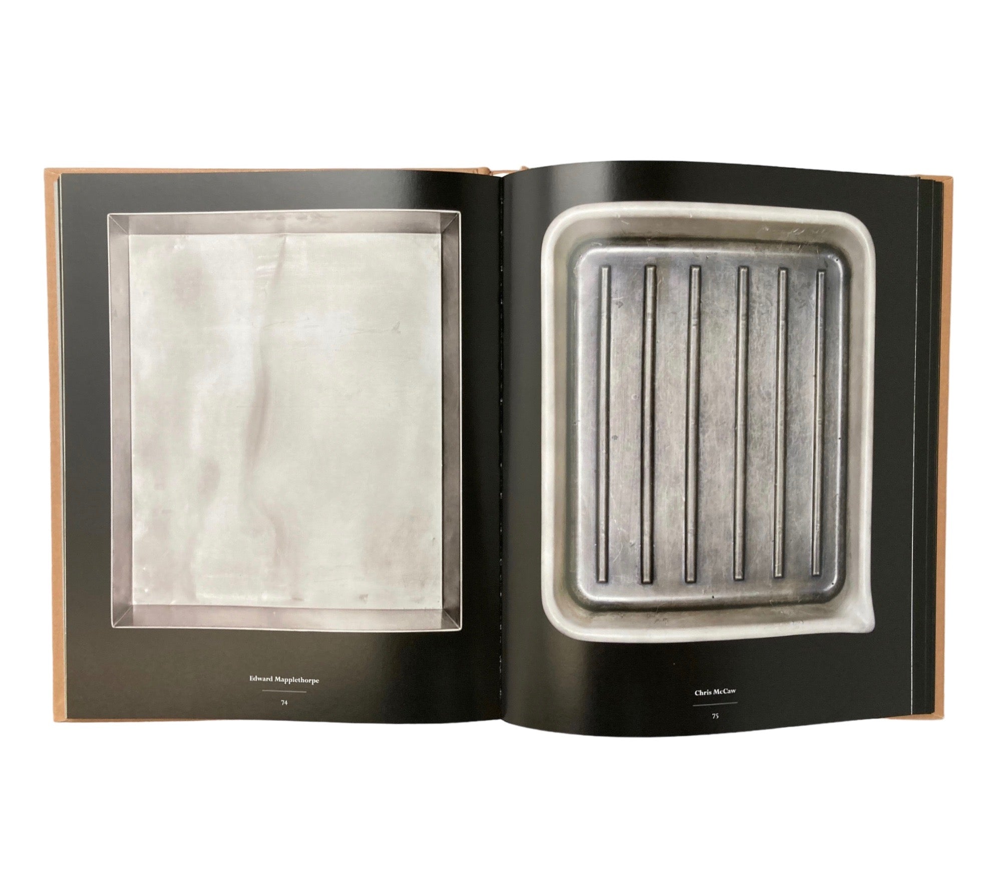 Developer Trays