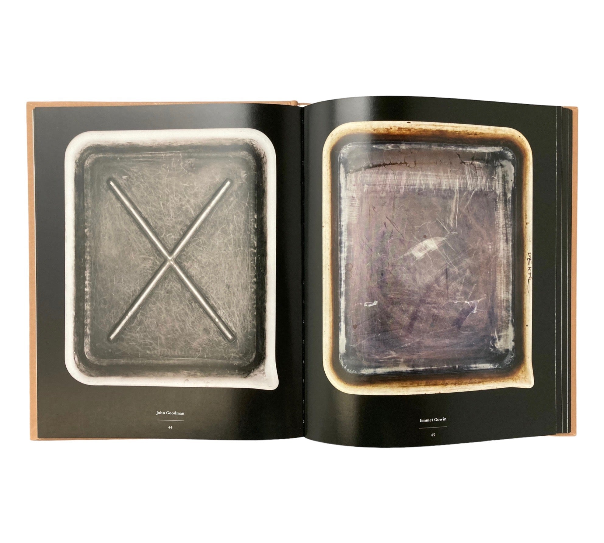 Developer Trays