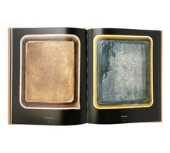 Developer Trays