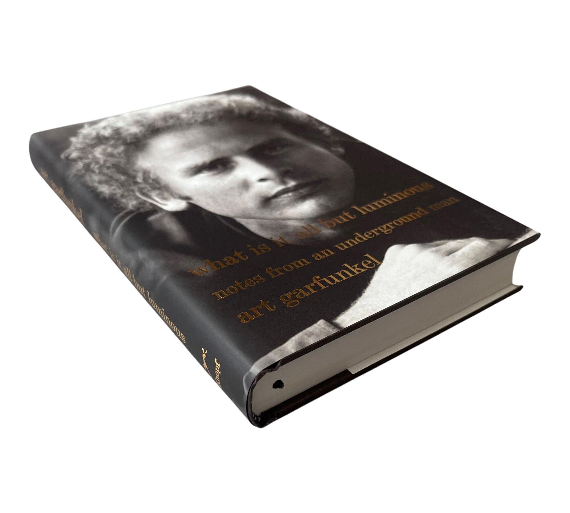 Art Garfunkel: What Is It All but Luminous: Notes from an Underground Man