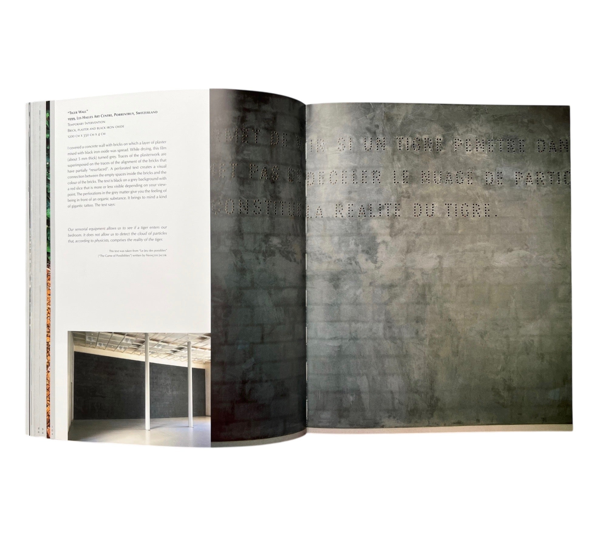 Carmen Perrin: Contexts - Public Situations