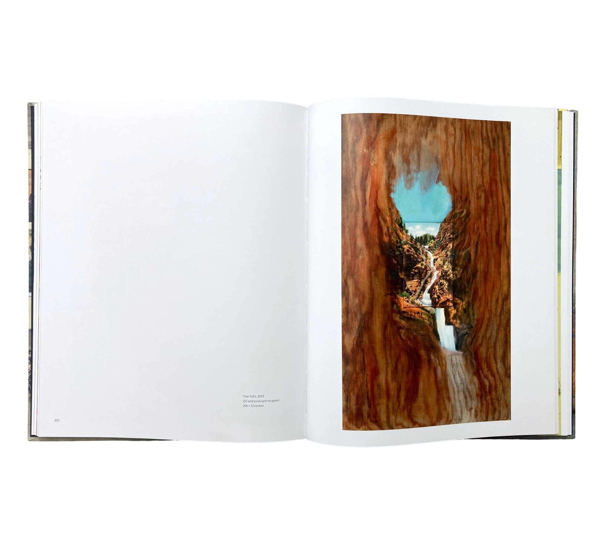 William Wegman: Paintings