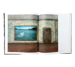 William Wegman: Paintings