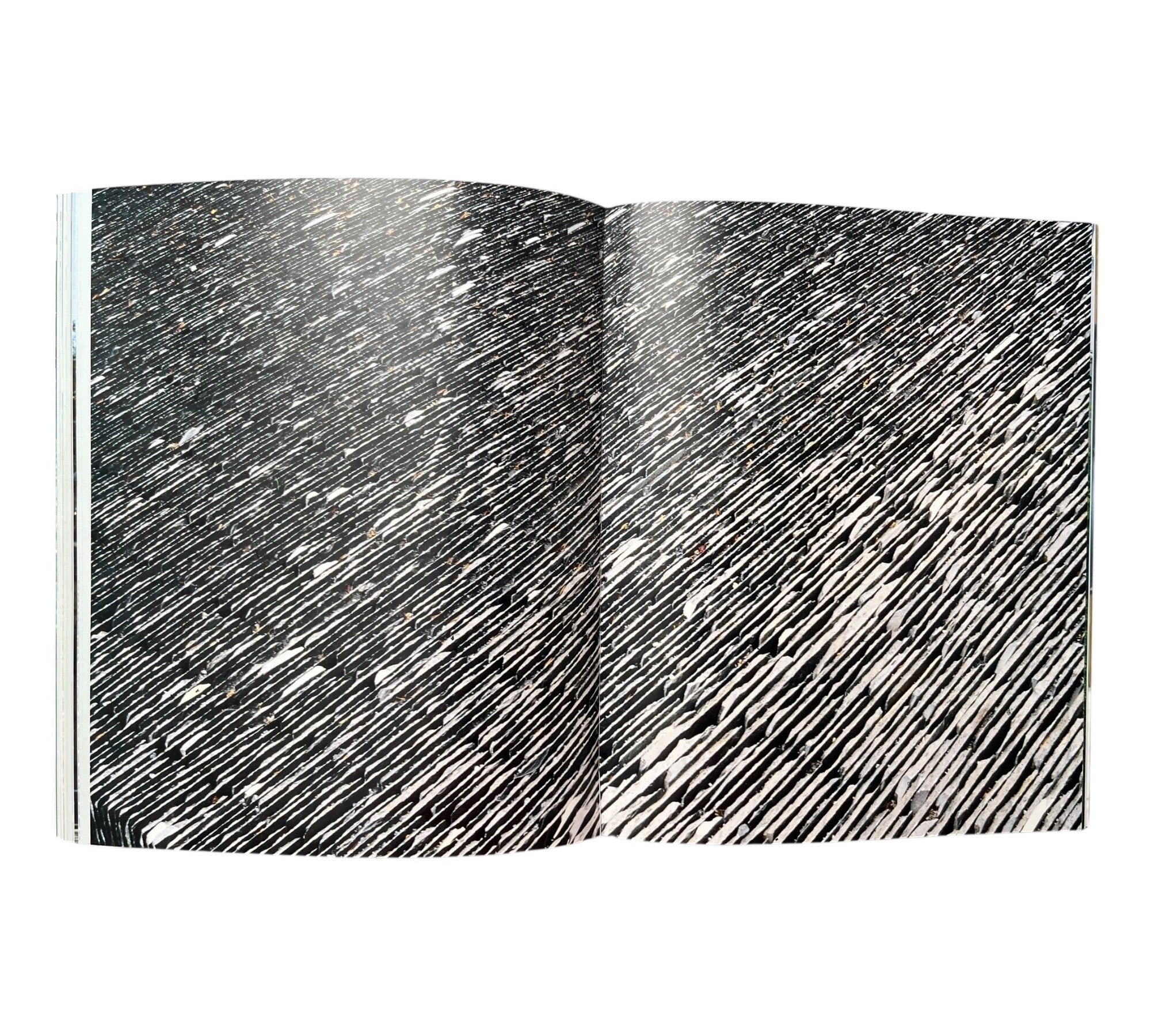 Carmen Perrin: Contexts - Public Situations