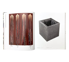 Delirious: Art at the Limits of Reason 1950-1980