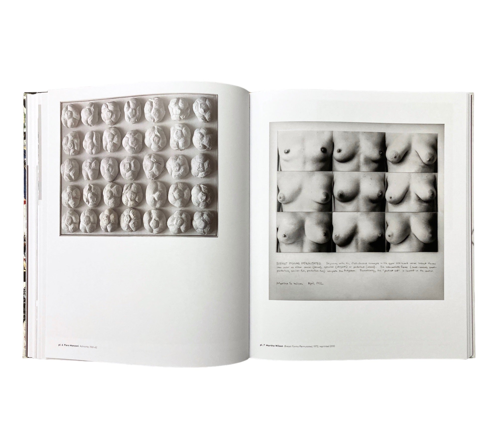 Delirious: Art at the Limits of Reason 1950-1980