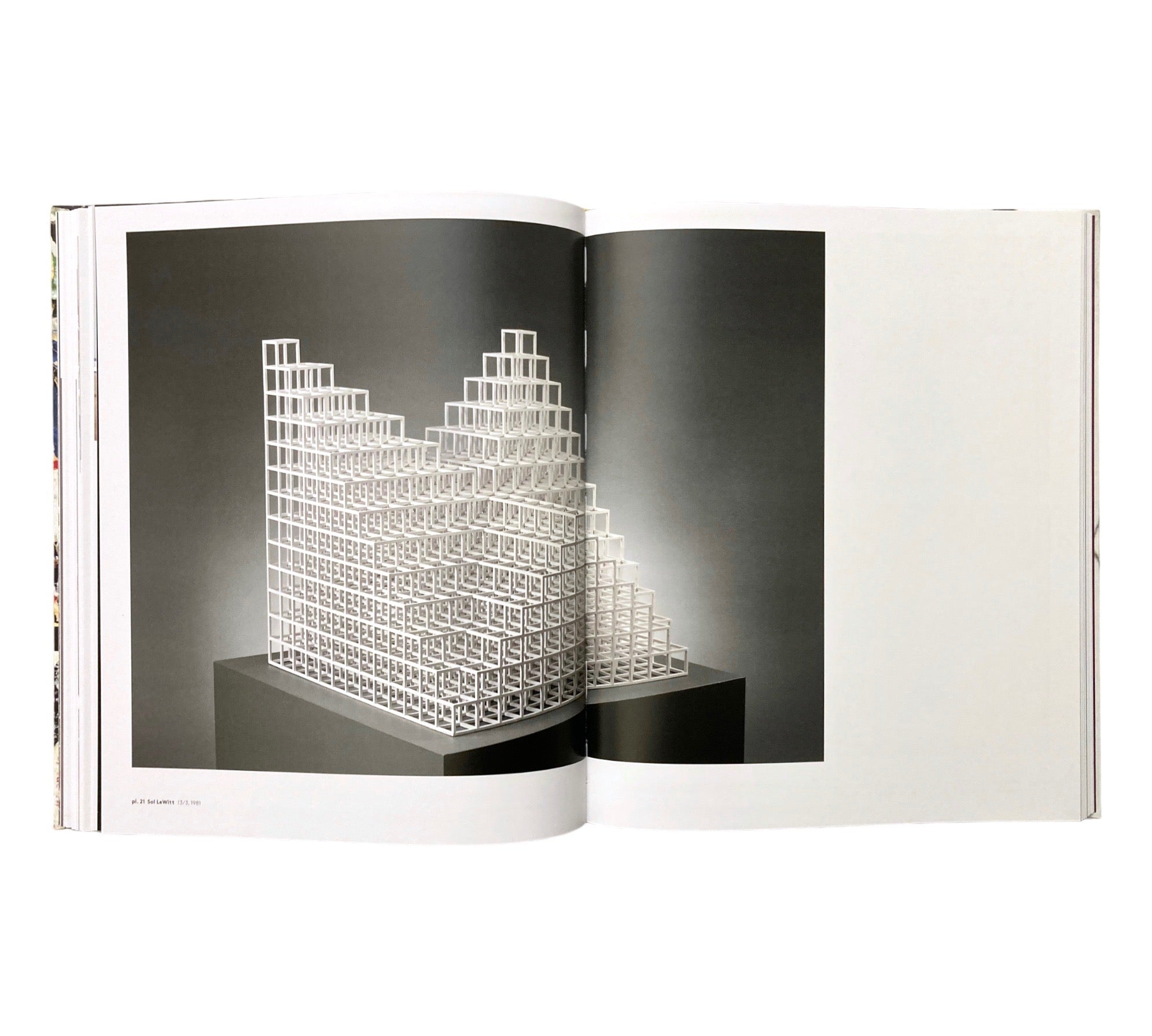 Delirious: Art at the Limits of Reason 1950-1980