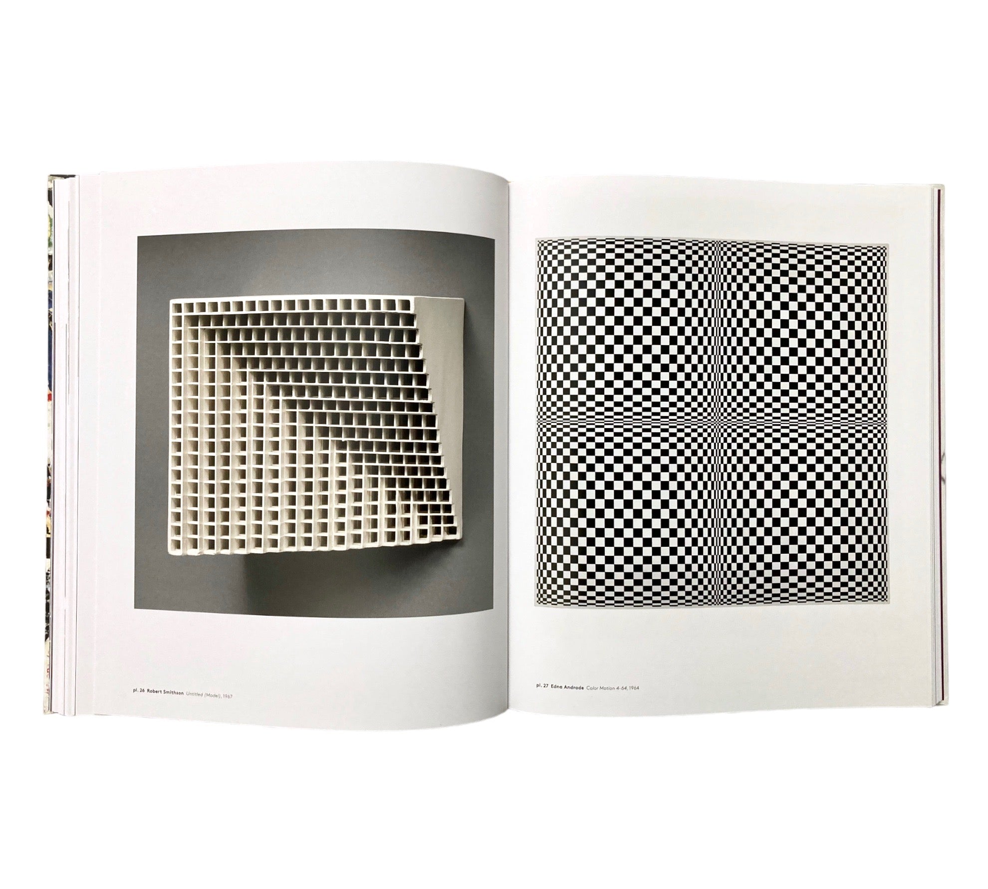 Delirious: Art at the Limits of Reason 1950-1980