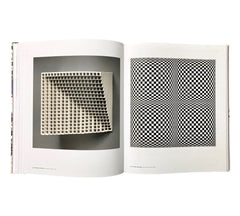Delirious: Art at the Limits of Reason 1950-1980